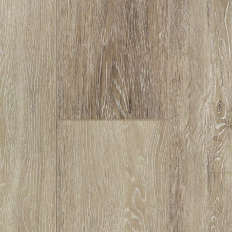 audacity boutique dawn cfl5011333