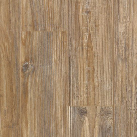 audacity boutique yuma cfl5011334