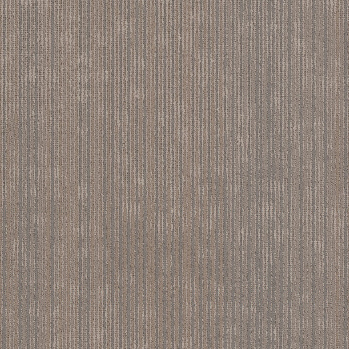 Philadelphia Commercial Cipher 54925-00104 AI 18" x 36" Carpet Tile