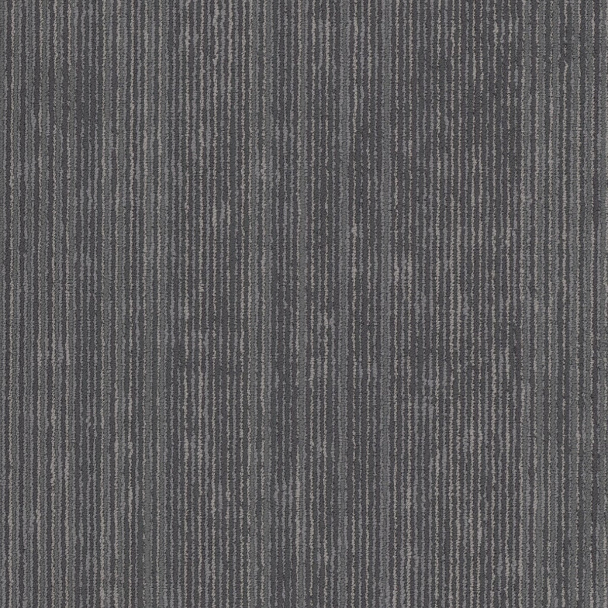 Philadelphia Commercial Cipher 54925-00503 Circuit 18" x 36" Carpet Tile