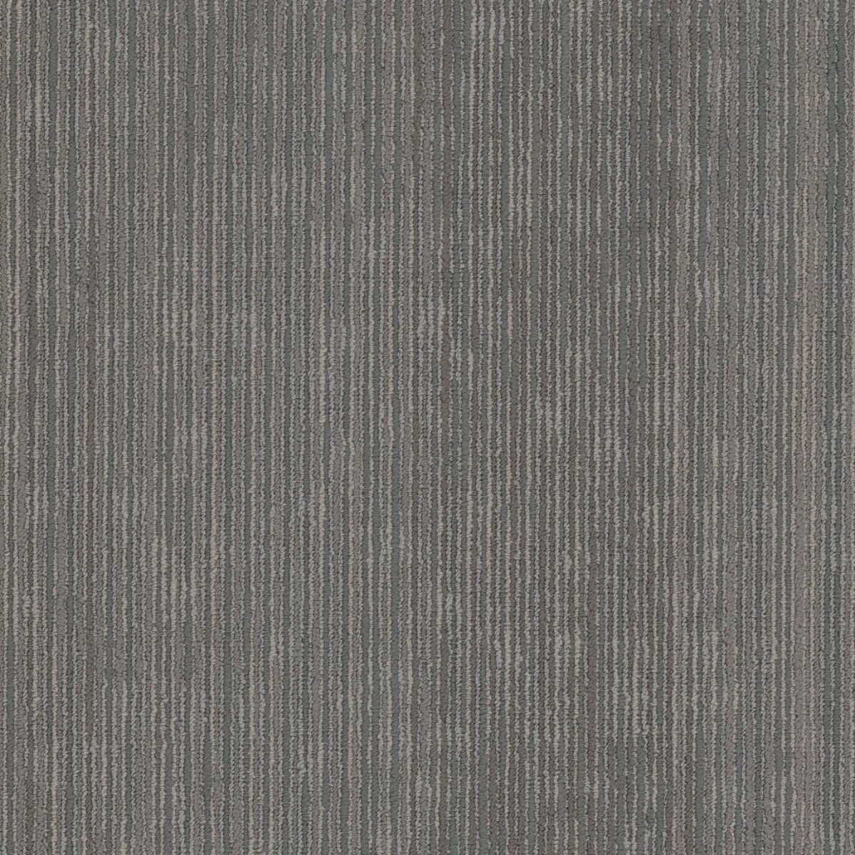 Philadelphia Commercial Cipher 54925-00502 Code 18" x 36" Carpet Tile