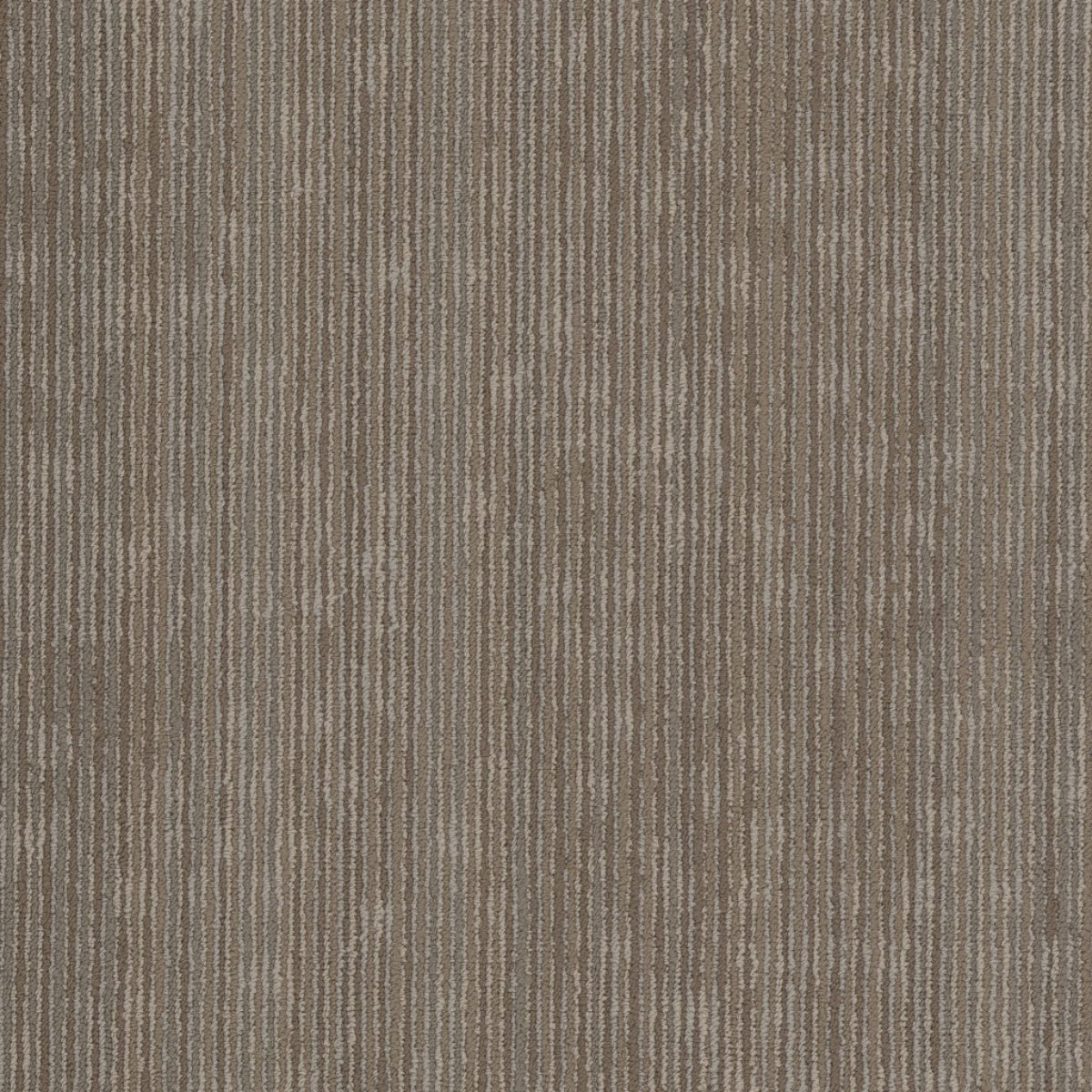 Philadelphia Commercial Cipher 54925-00210 Cyber 18" x 36" Carpet Tile