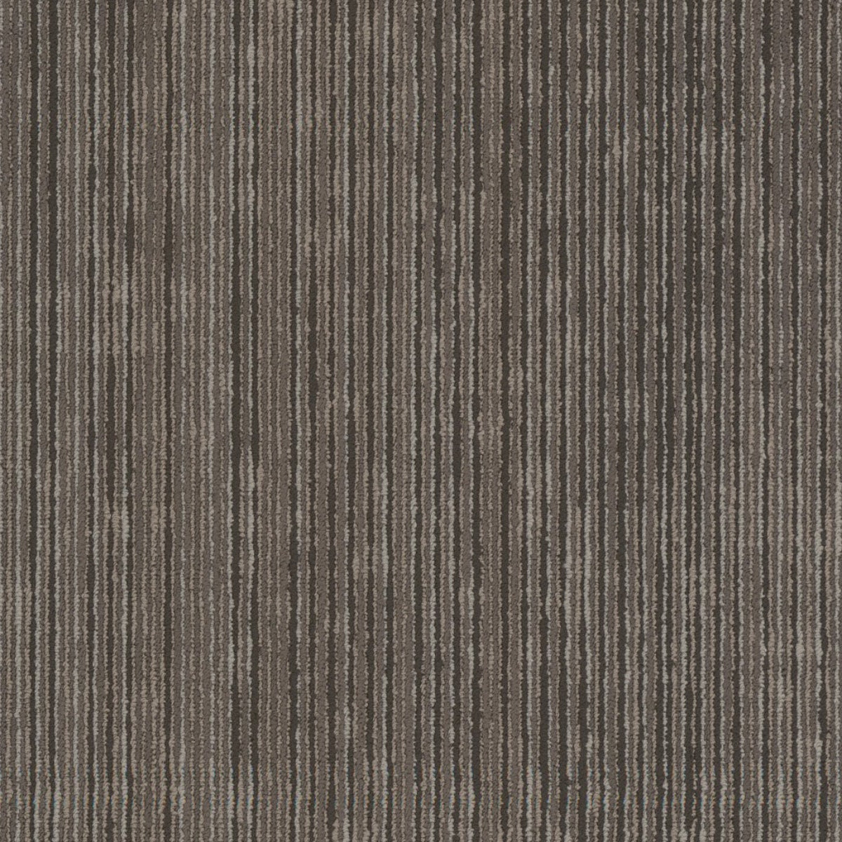 Philadelphia Commercial Cipher 54925-00700 Digital 18" x 36" Carpet Tile