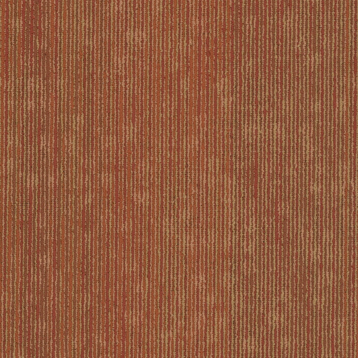 Philadelphia Commercial Cipher 54925-00600 Electro 18" x 36" Carpet Tile