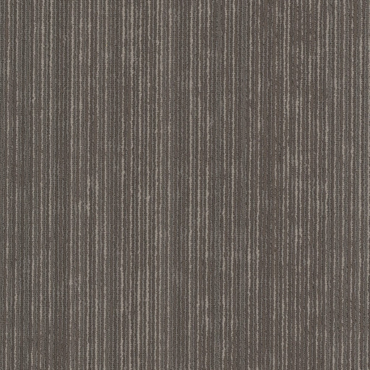 Philadelphia Commercial Cipher 54925-00708 Identity 18" x 36" Carpet Tile