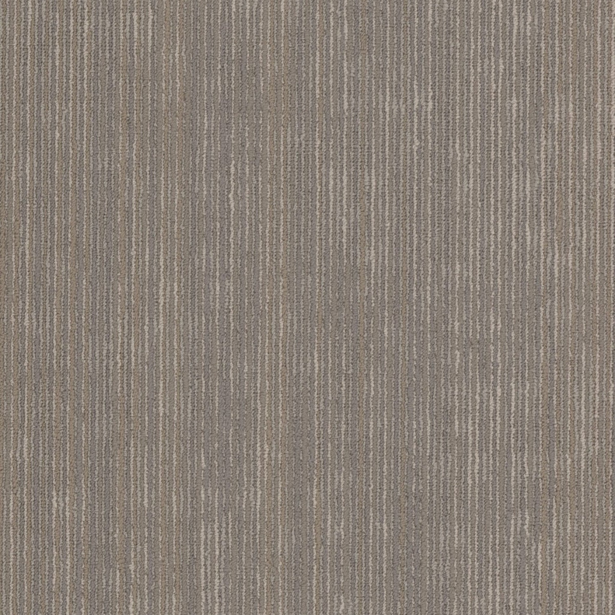 Philadelphia Commercial Cipher 54925-00500 Symbols 18" x 36" Carpet Tile