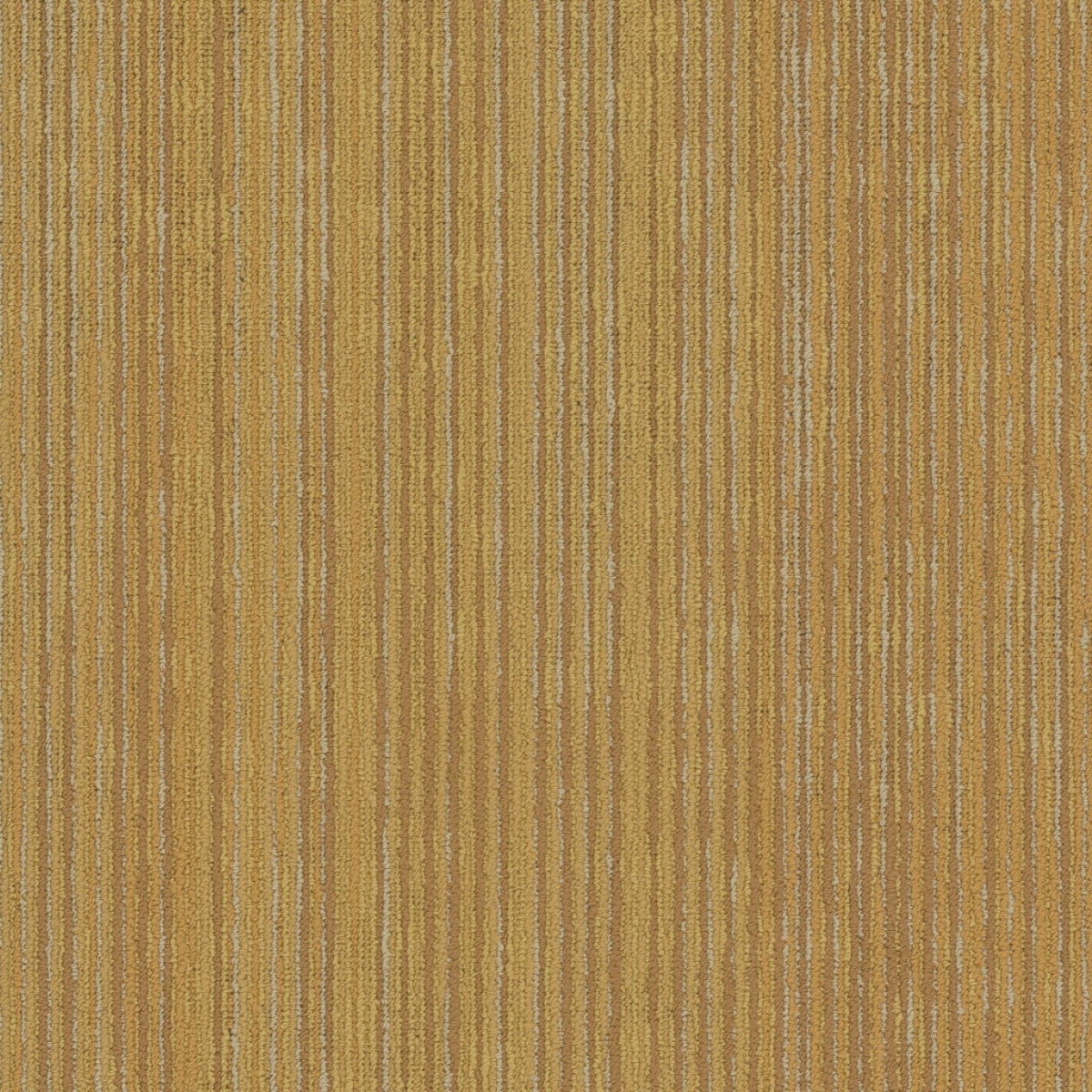 Philadelphia Commercial Cipher 54925-00200 Vector 18" x 36" Carpet Tile