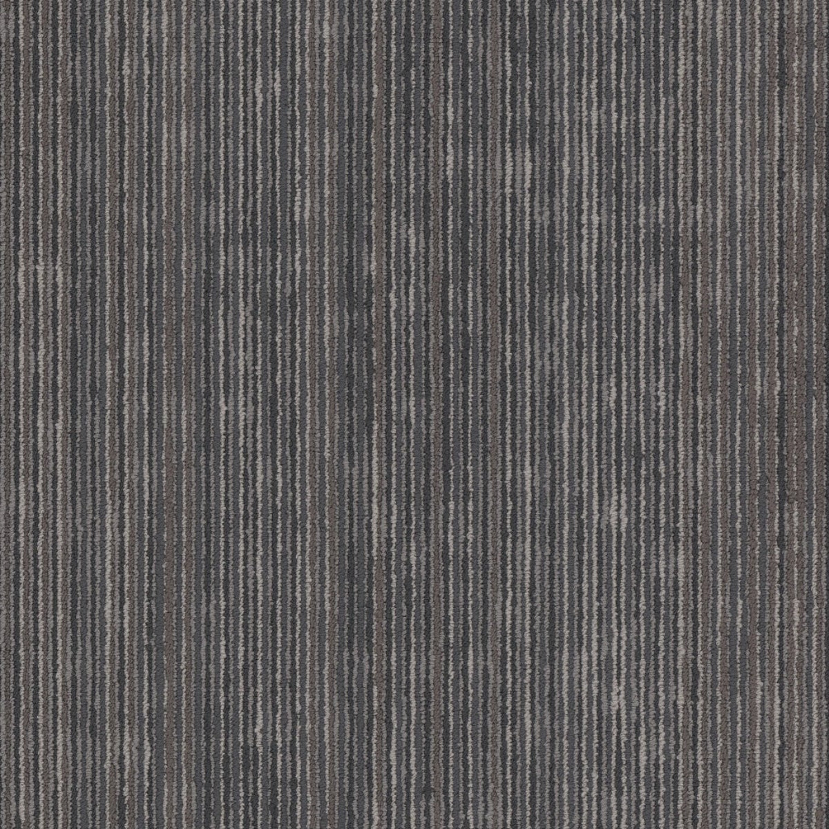 Philadelphia Commercial Cipher 54925-00505 Virtual 18" x 36" Carpet Tile