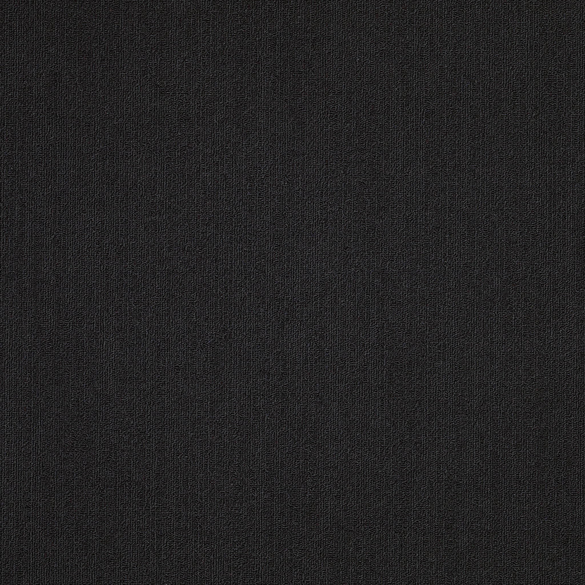 Philadelphia Commercial Color Accents 54462-62505 Black 24" x 24" Carpet Tile