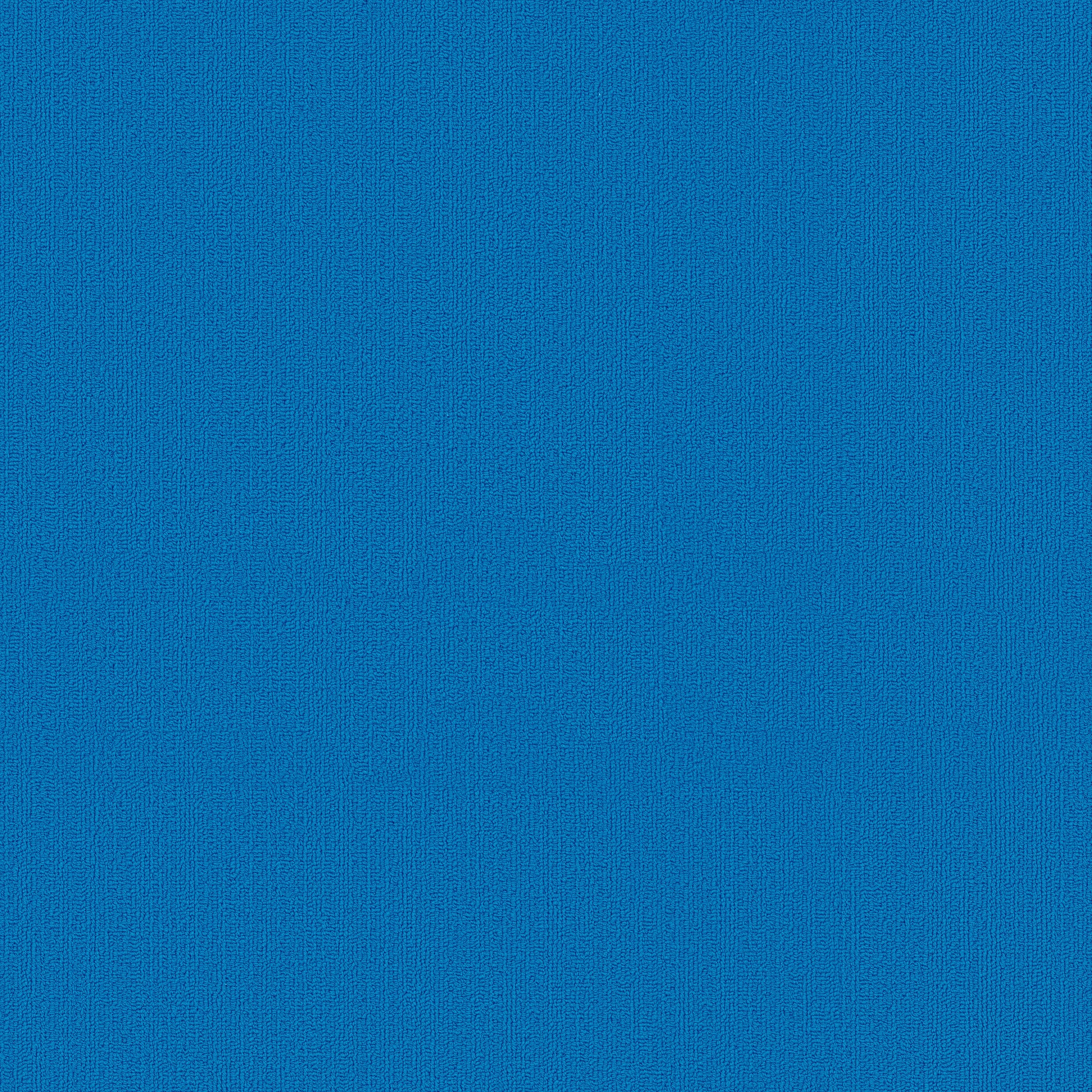 Philadelphia Commercial Color Accents 54462-62407 Blue 24" x 24" Carpet Tile