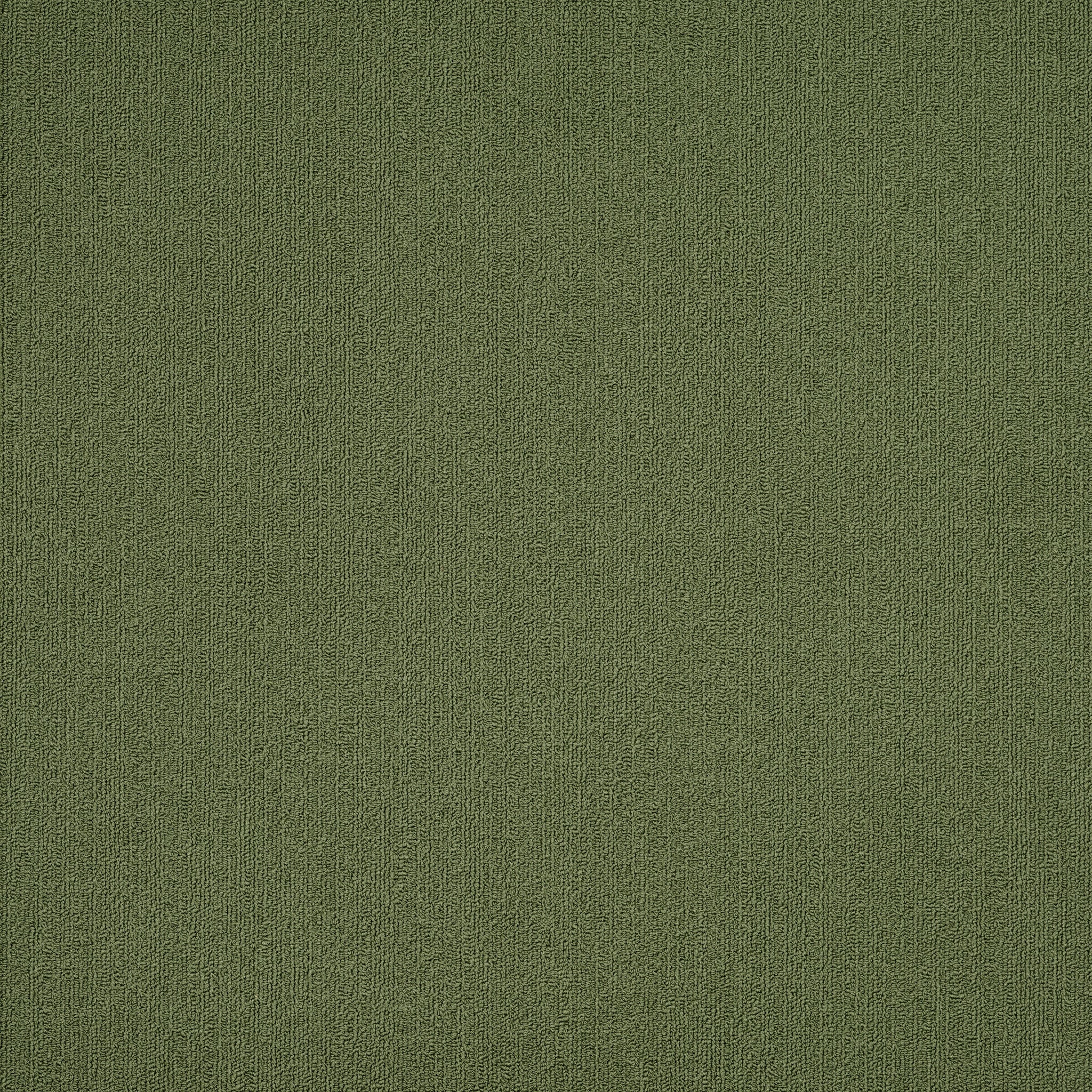 Philadelphia Commercial Color Accents 54462-62370 Cactus 24" x 24" Carpet Tile