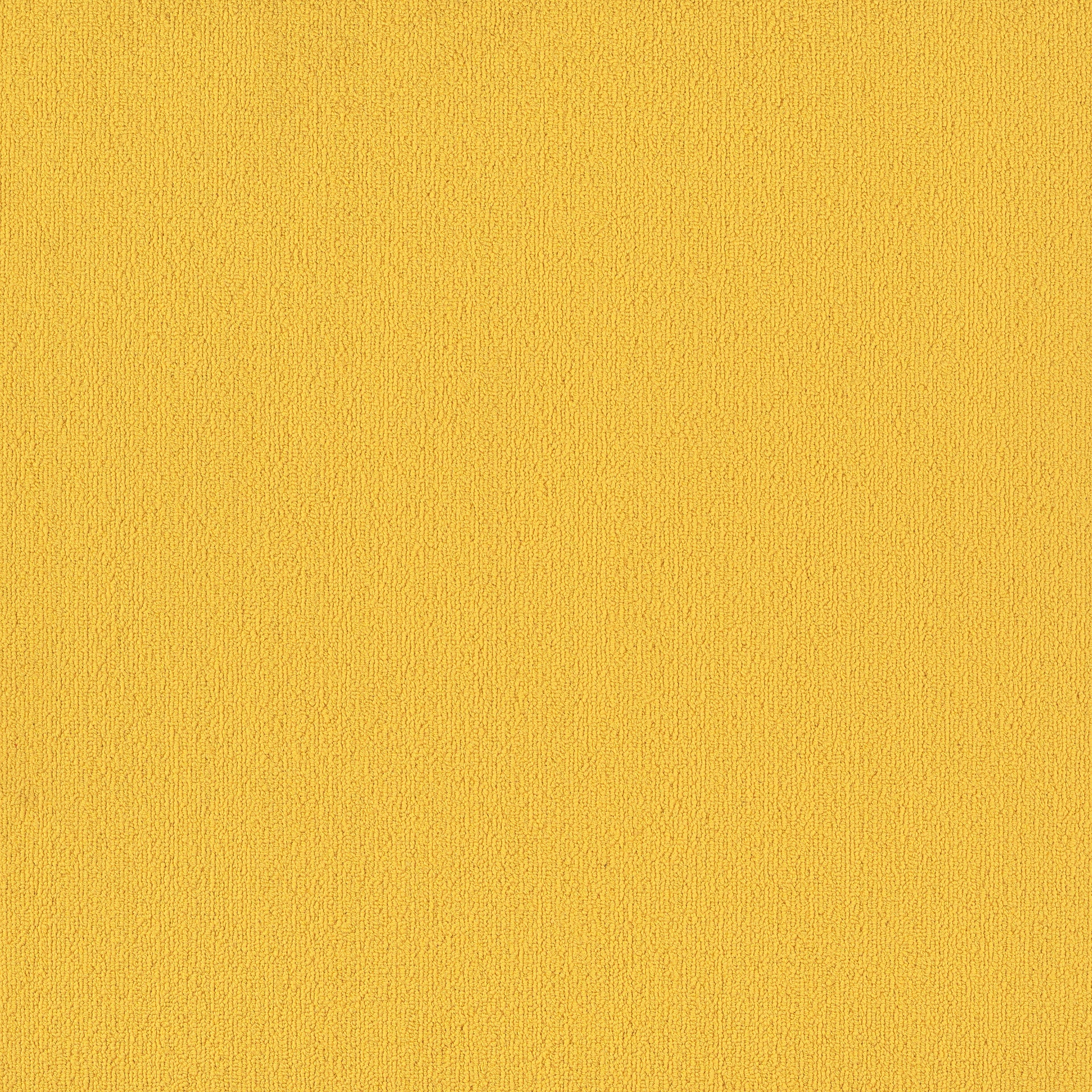 Philadelphia Commercial Color Accents 54462-62201 Citrus 24" x 24" Carpet Tile