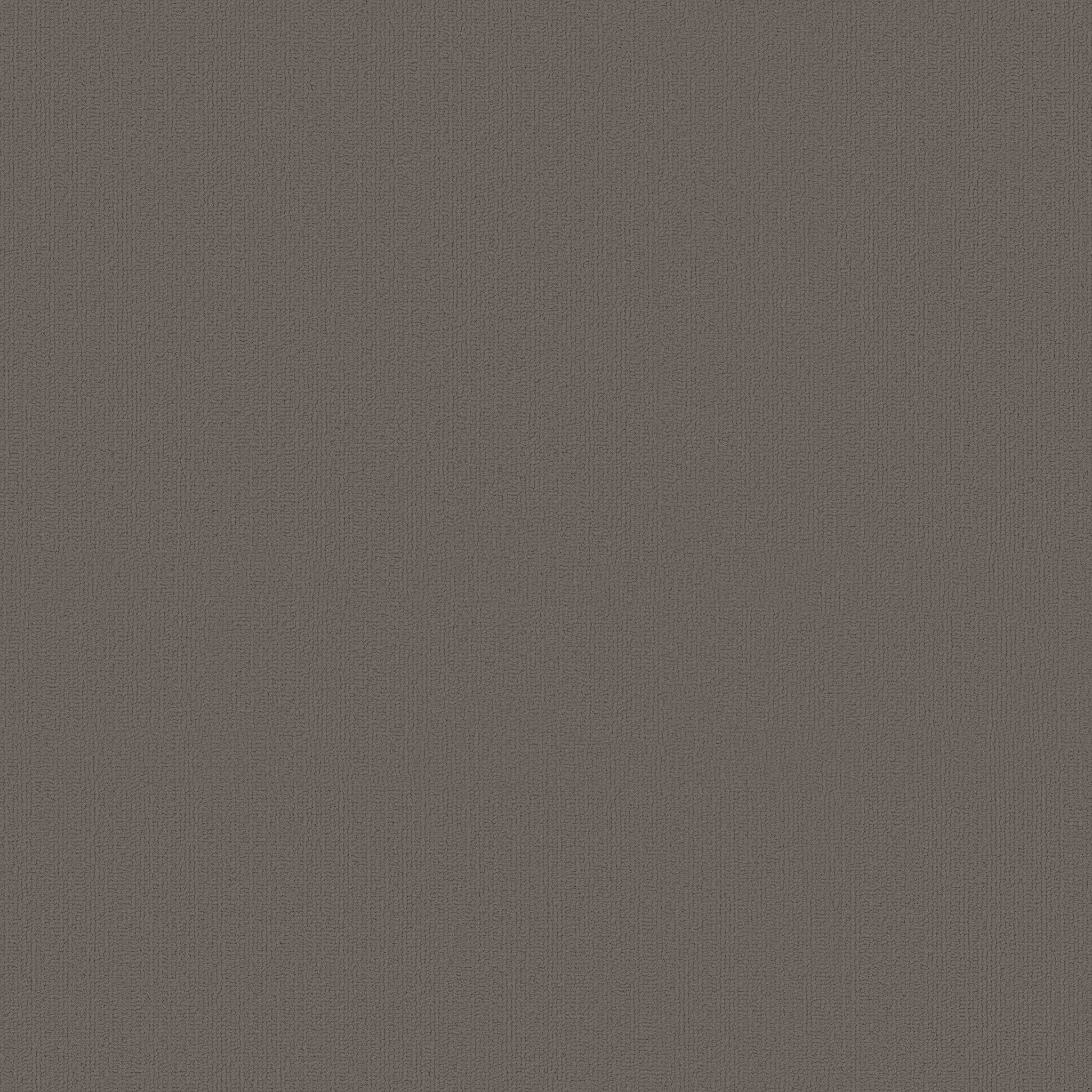Philadelphia Commercial Color Accents 54462-62557 Dolphin 24" x 24" Carpet Tile