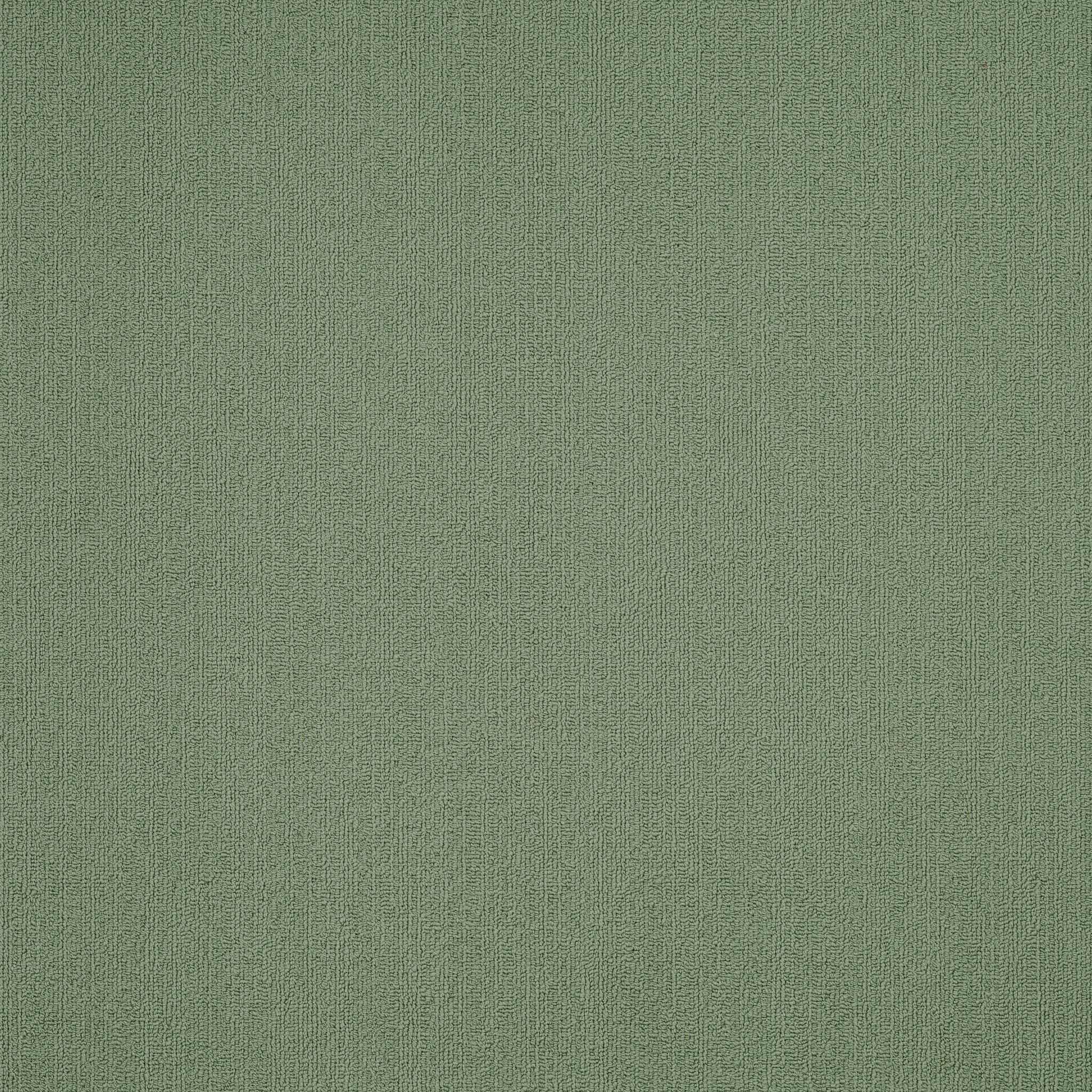 Philadelphia Commercial Color Accents 54462-62310 Foliage 24" x 24" Carpet Tile