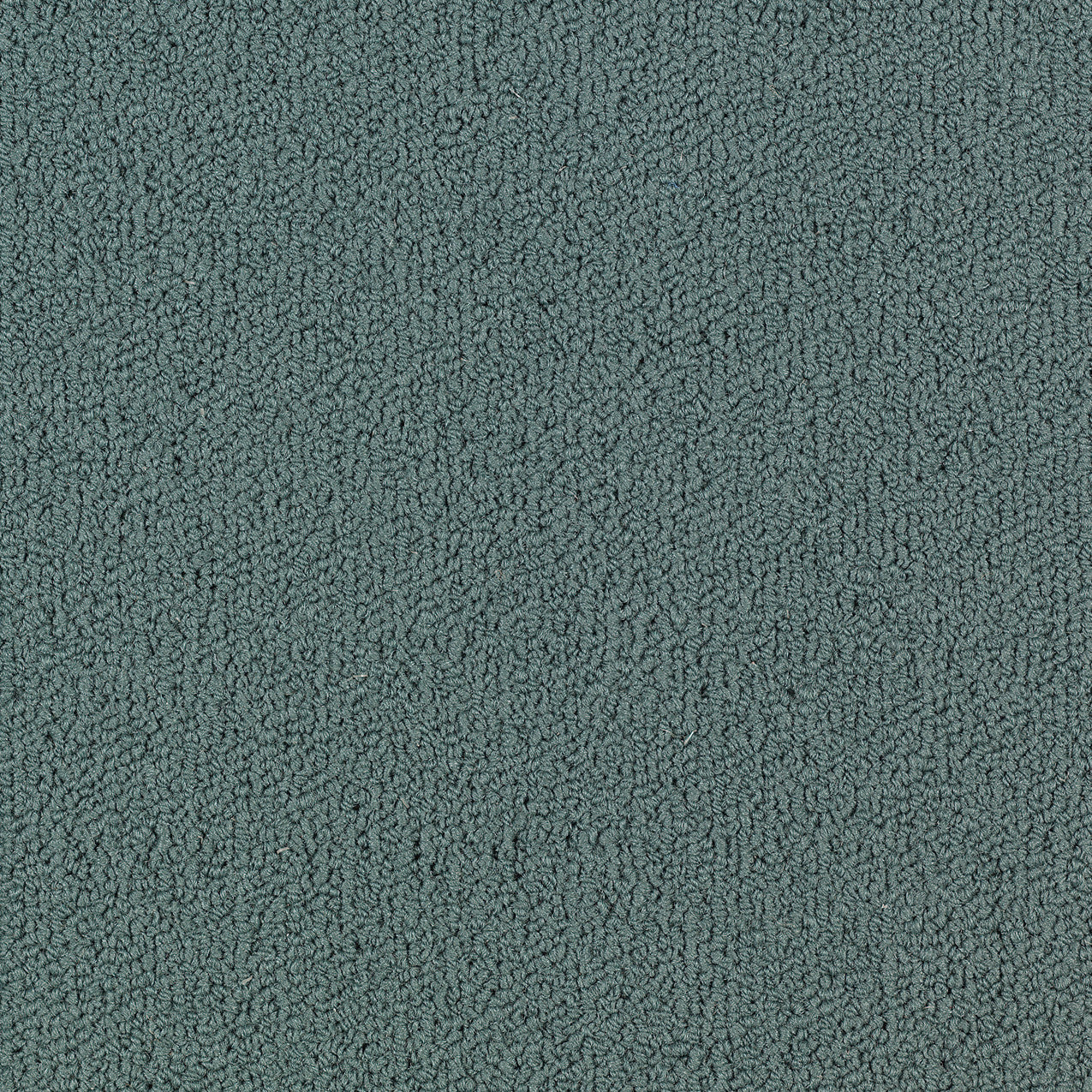 Philadelphia Commercial Color Accents 54462-62447 Nordic 24" x 24" Carpet Tile