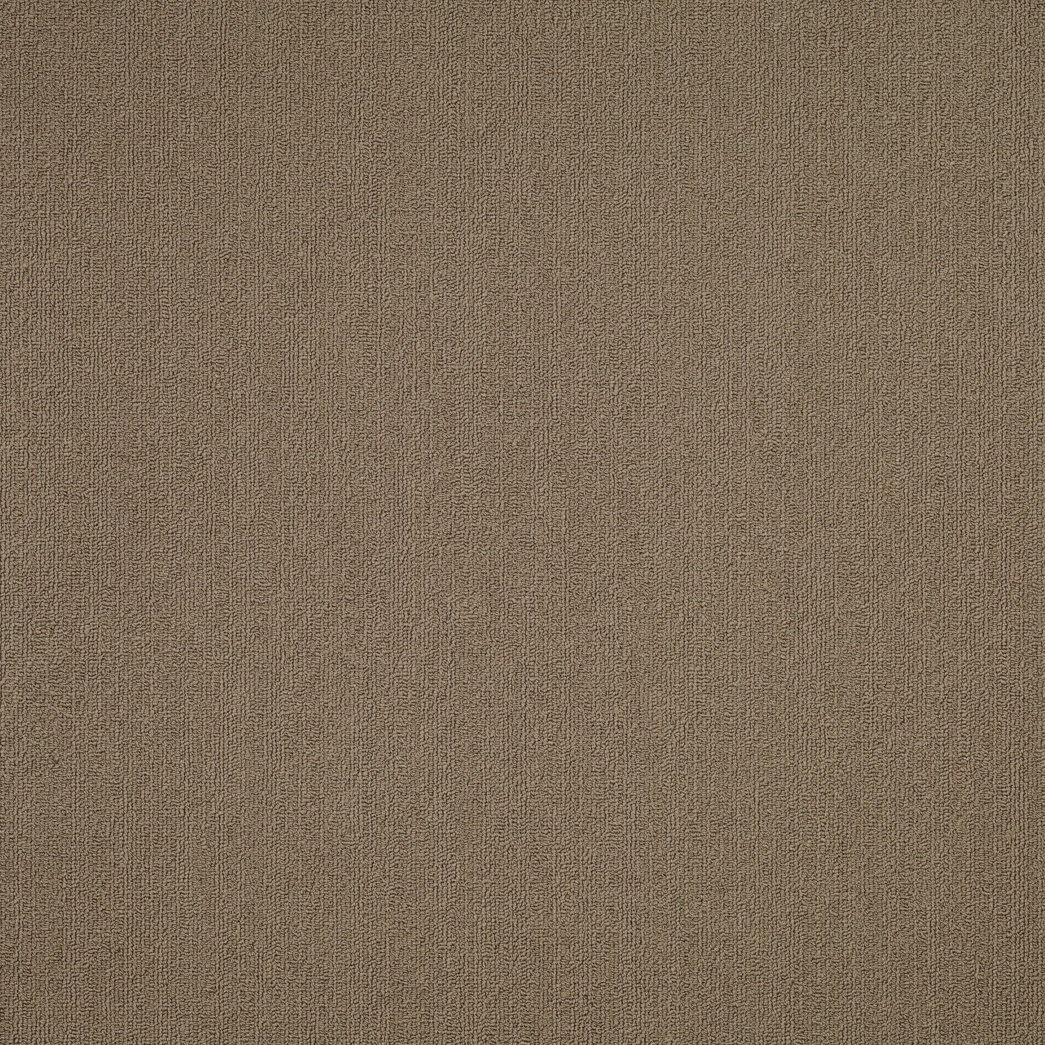 Philadelphia Color Accents 54462-62761 Portabella 24" x 24" Carpet Tile (48 SF/Box)