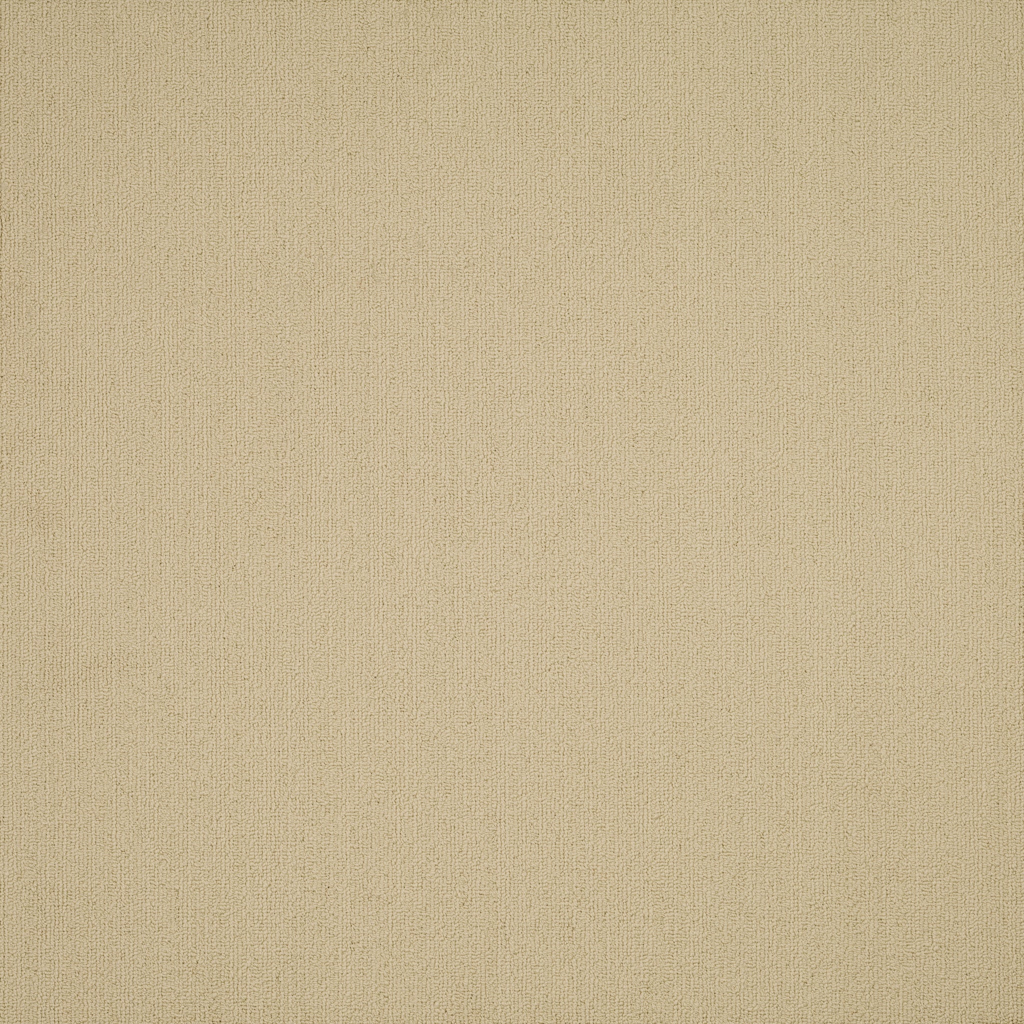 Philadelphia Color Accents 54462-62145 Tumbleweed 24" x 24" Carpet Tile (48 SF/Box)