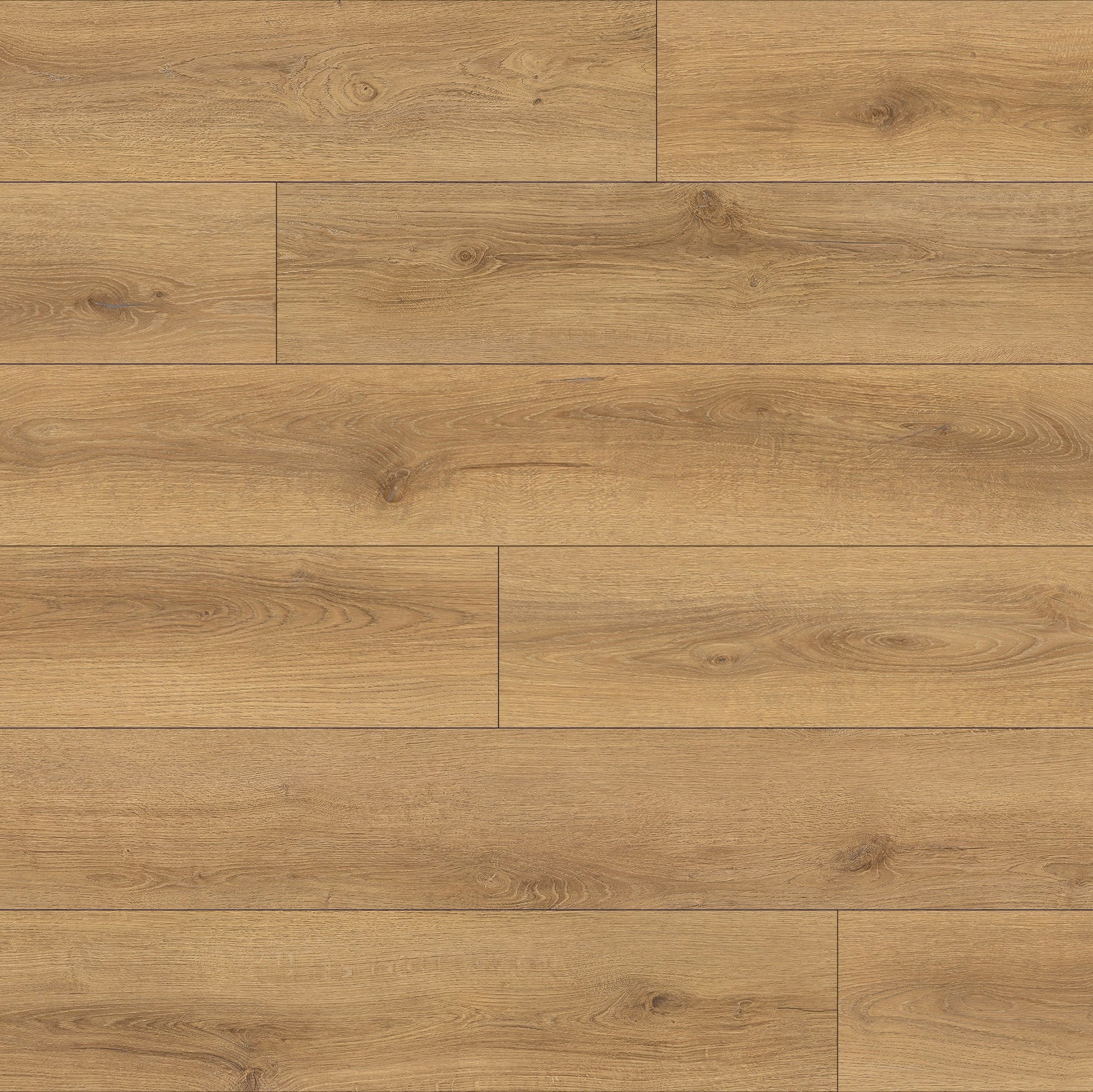 Paradigm Flooring Conquest Catapult CON2029PAD SPC Luxury Vinyl Plank 9" x 72"