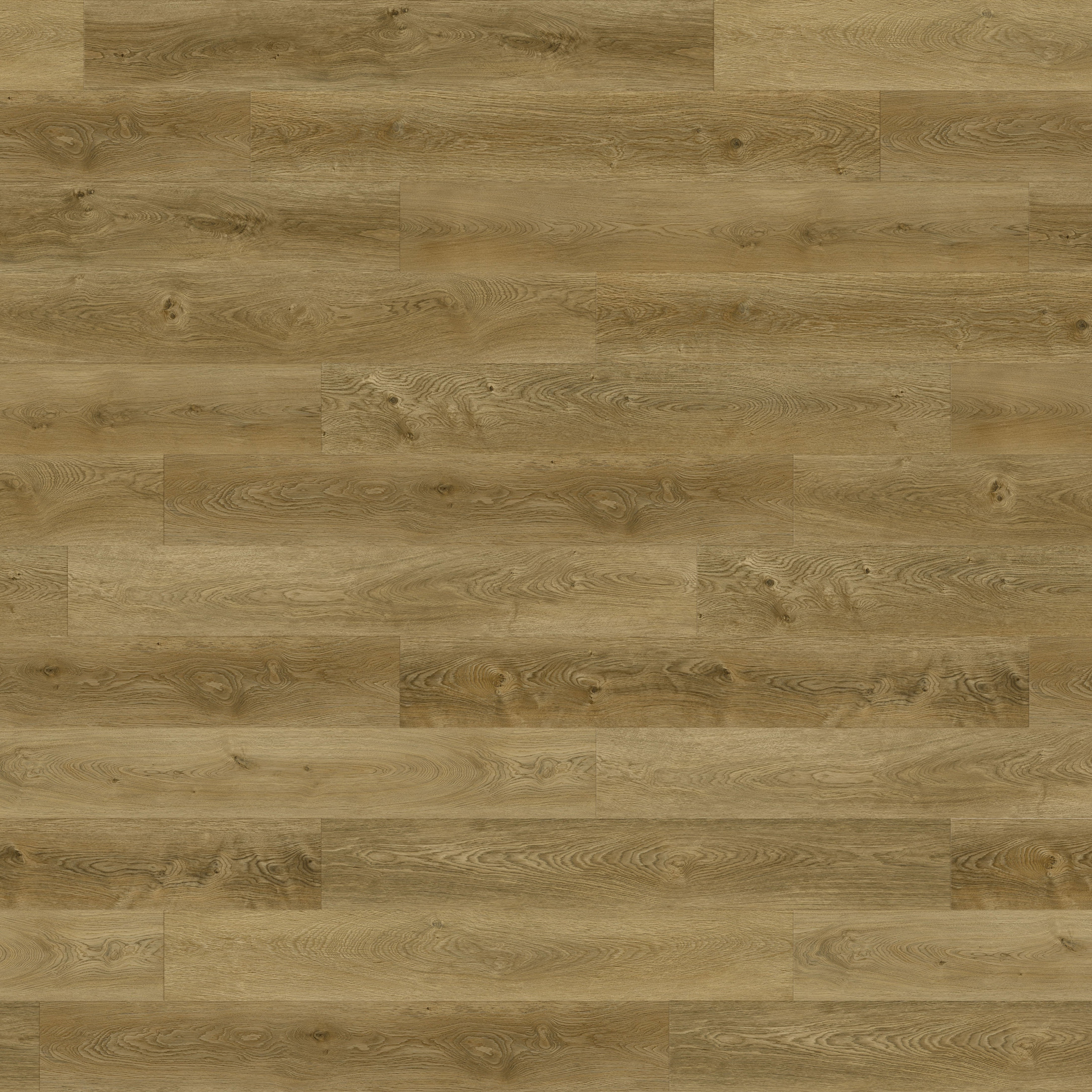 Paradigm Flooring Conquest Canterbury CON2042PAD SPC Luxury Vinyl Plank 9" x 72"