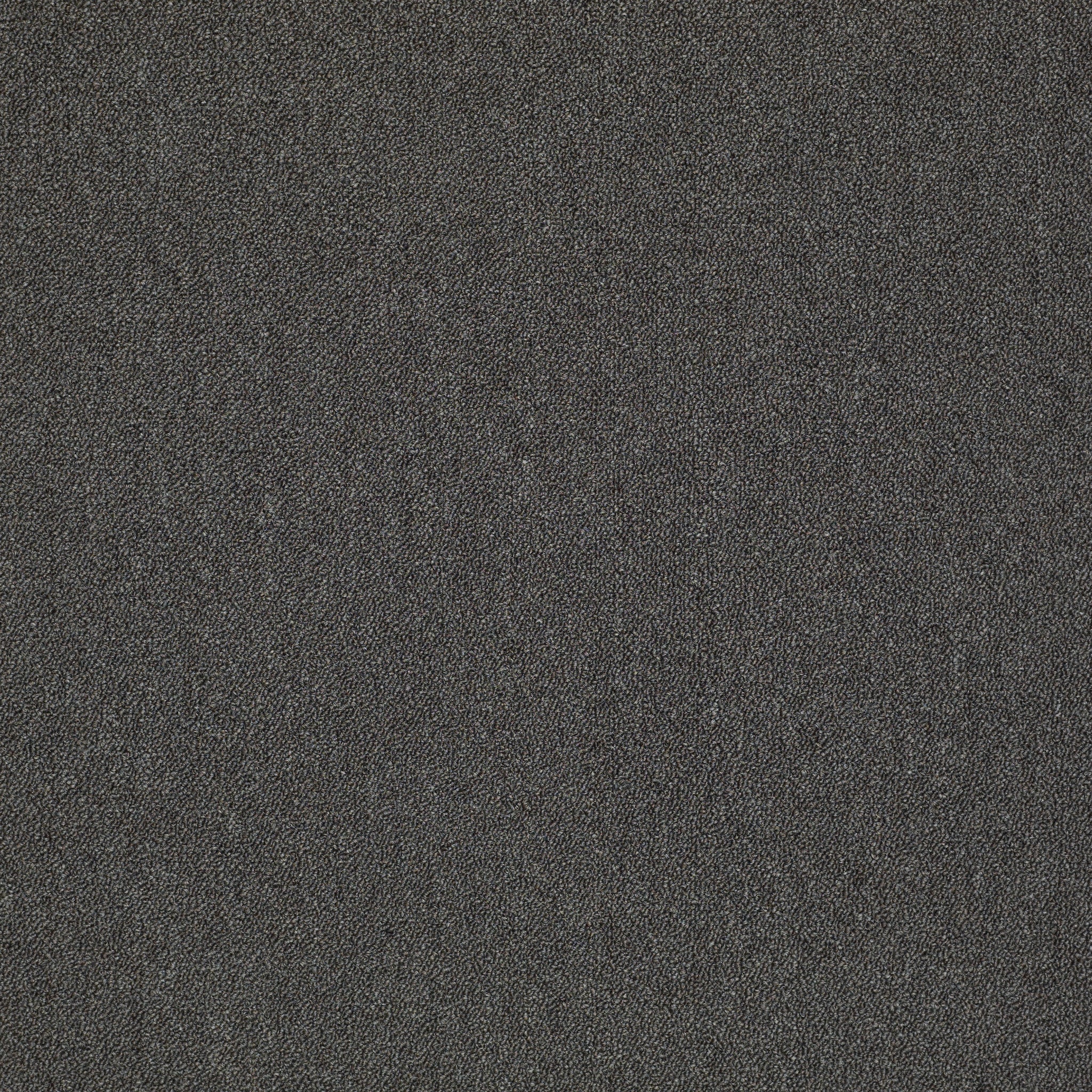 Philadelphia Mainstreet Counterpart 54816-16710 Impersonator 24" x 24" Carpet Tile (48 SF/Box)