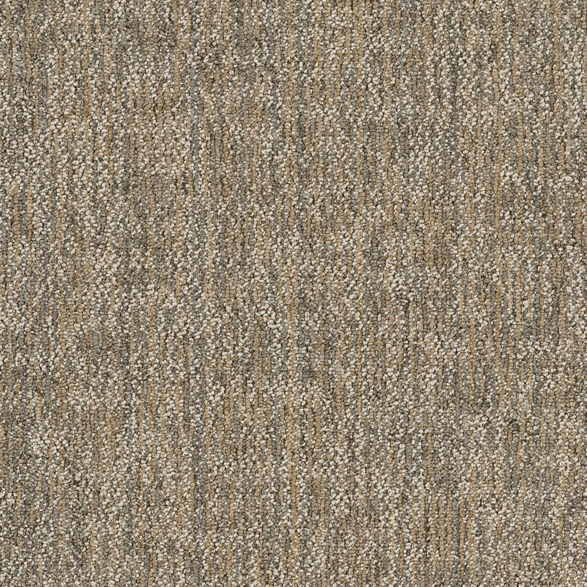 Philadelphia Commercial Crazy Smart 54841-00200 Astute 18" x 36" Carpet Tile