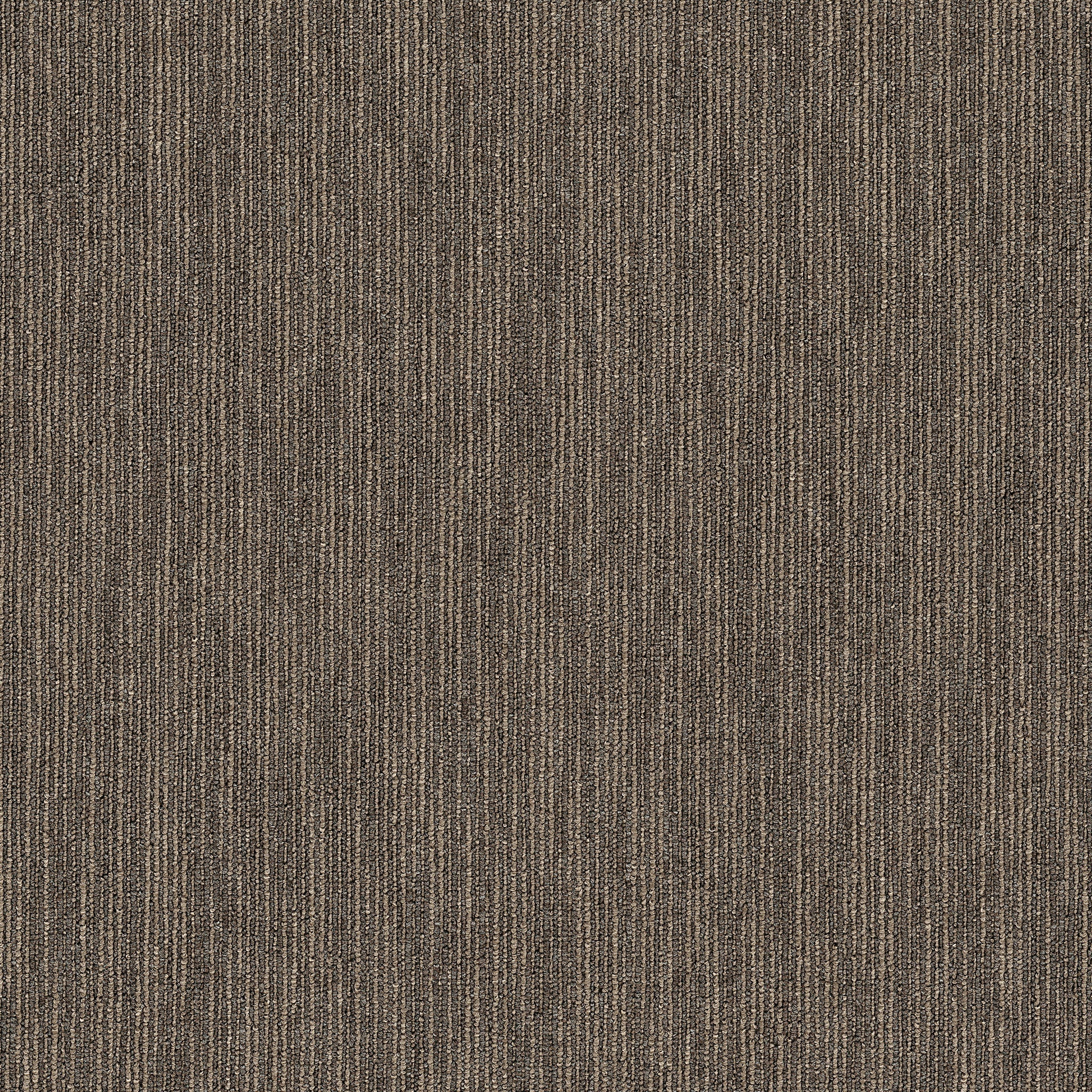 Philadelphia Commercial Dynamo 54857-57710 Smarts 24" x 24" Carpet Tile
