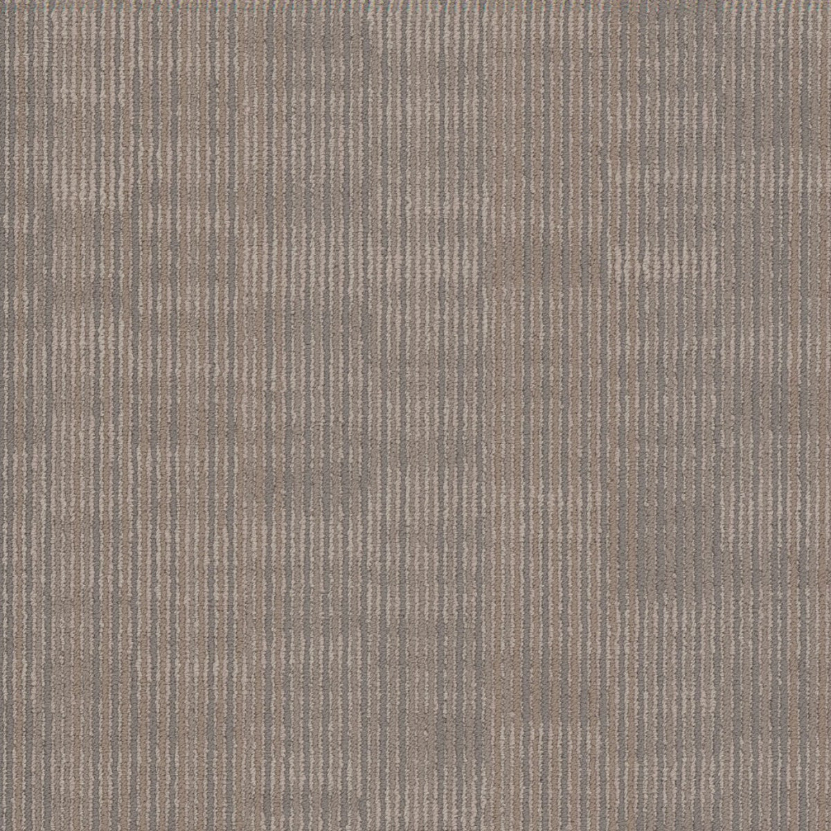 Philadelphia Commercial Encode 54926-00104 AI 18" x 36" Carpet Tile