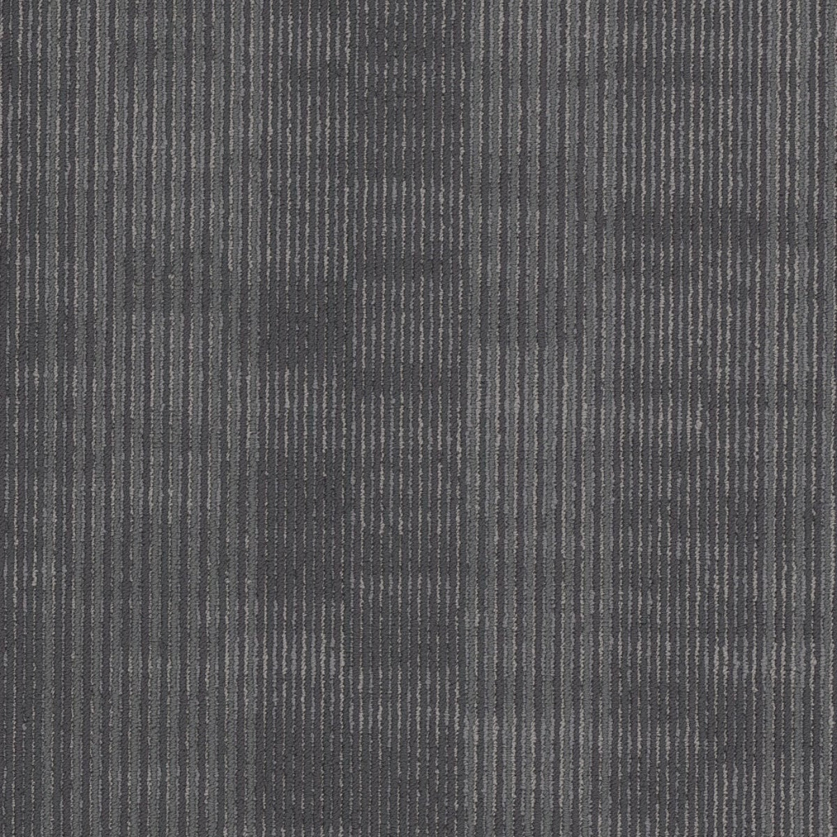 Philadelphia Commercial Encode 54926-00503 Circuit 18" x 36" Carpet Tile