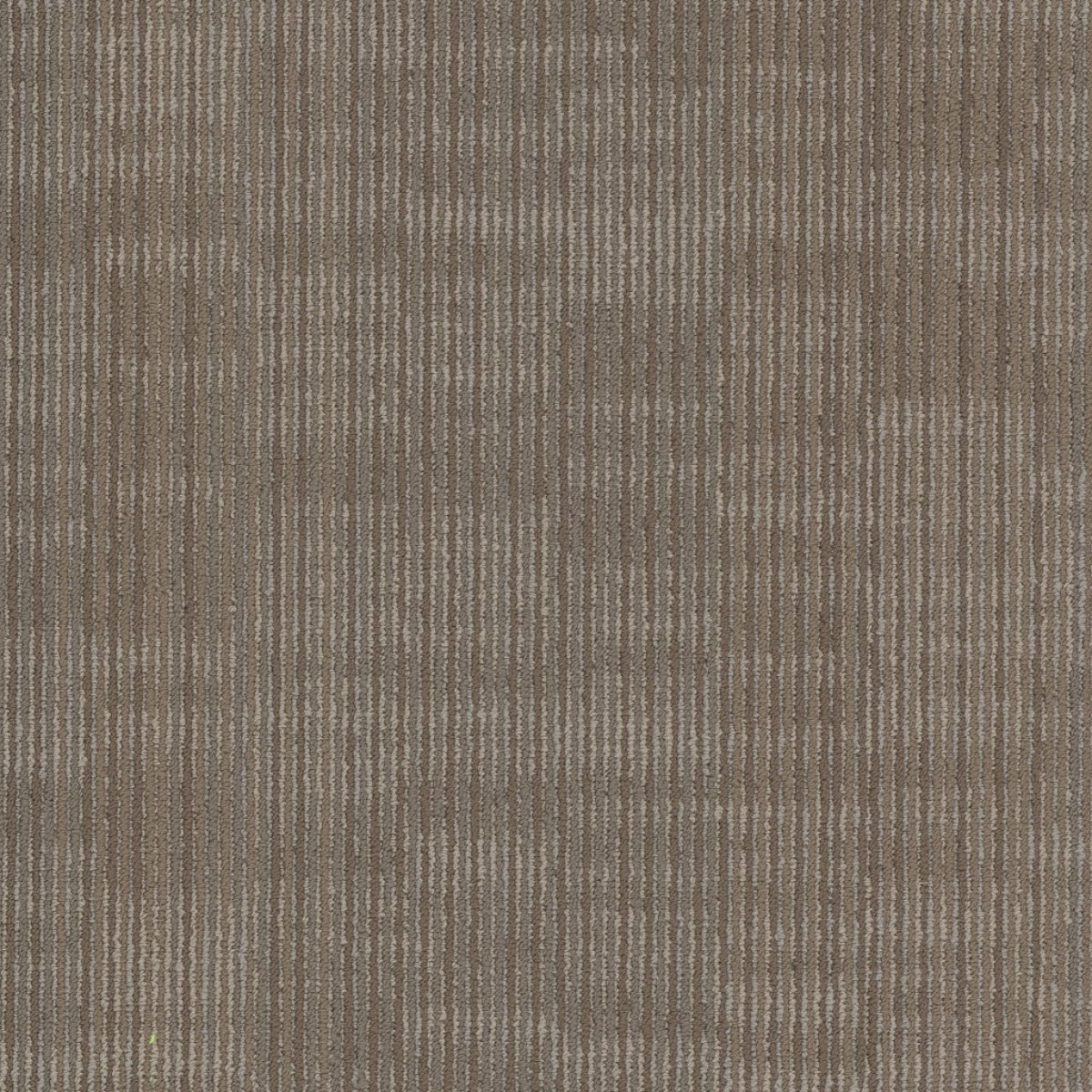 Philadelphia Commercial Encode 54926-00210 Cyber 18" x 36" Carpet Tile
