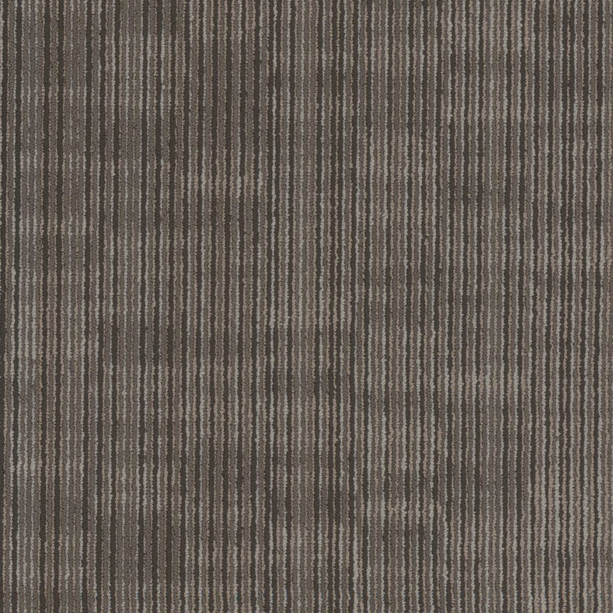 Philadelphia Commercial Encode 54926-00700 Digital 18" x 36" Carpet Tile