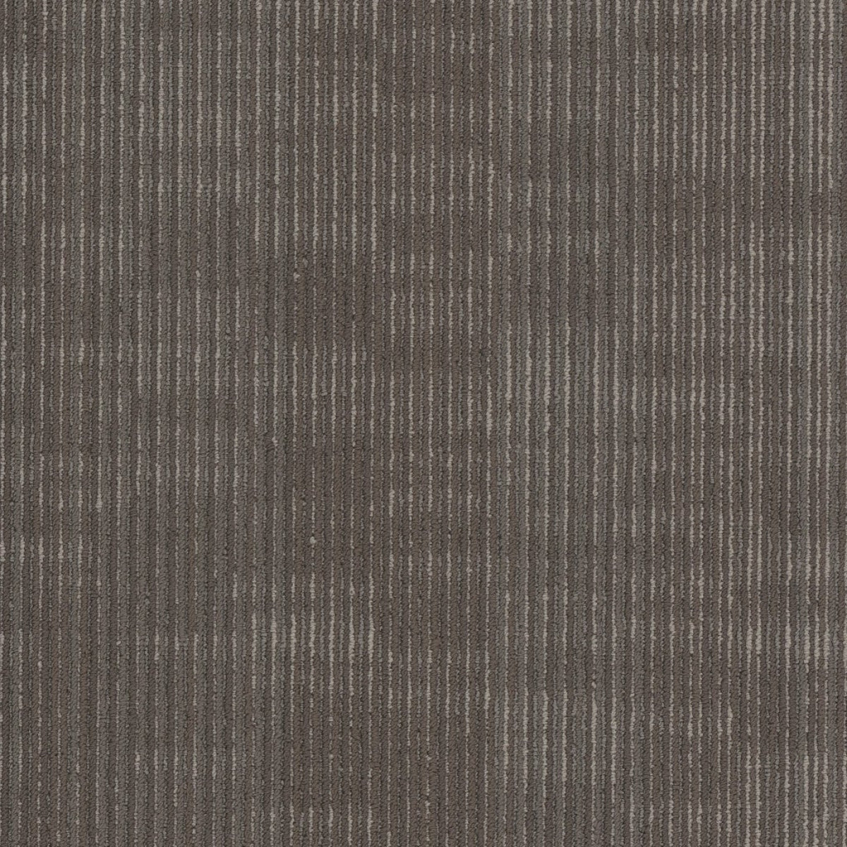 Philadelphia Commercial Encode 54926-00708 Identity 18" x 36" Carpet Tile