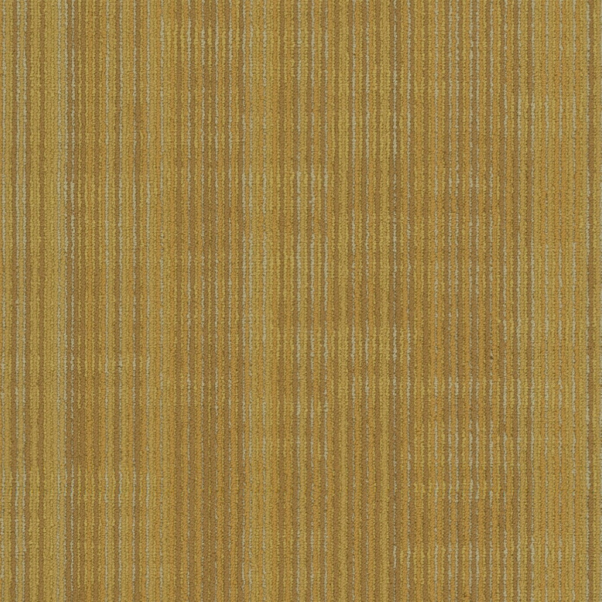 Philadelphia Commercial Encode 54926-00200 Vector 18" x 36" Carpet Tile