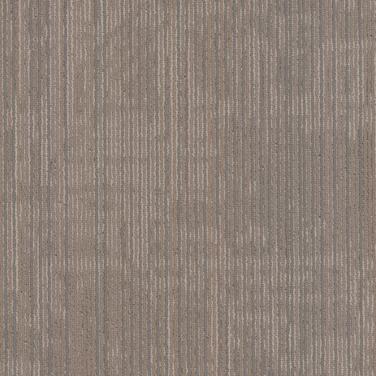 Philadelphia Commercial Encrypt 54927-00104 AI 18" x 36" Carpet Tile