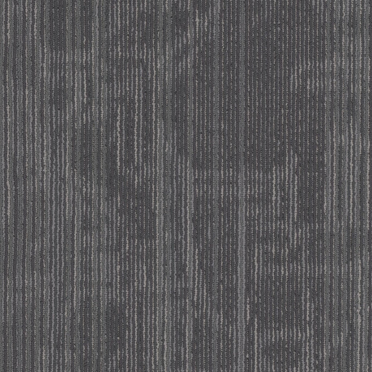 Philadelphia Commercial Encrypt 54927-00503 Circuit 18" x 36" Carpet Tile