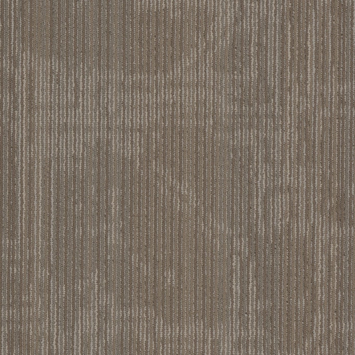 Philadelphia Commercial Encrypt 54927-00210 Cyber 18" x 36" Carpet Tile