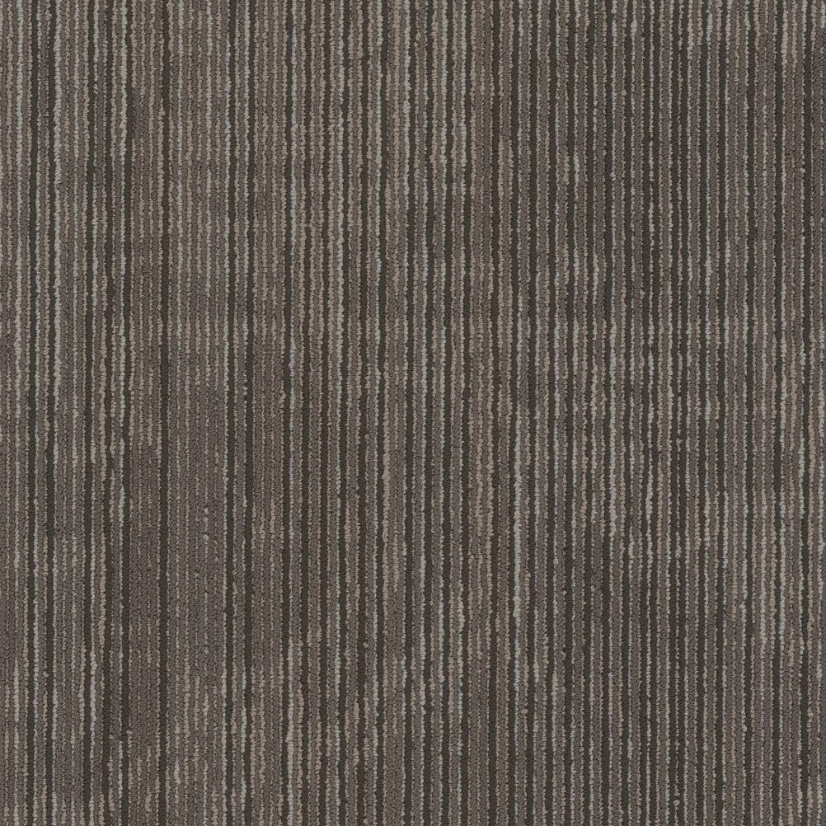 Philadelphia Commercial Encrypt 54927-00700 Digital 18" x 36" Carpet Tile