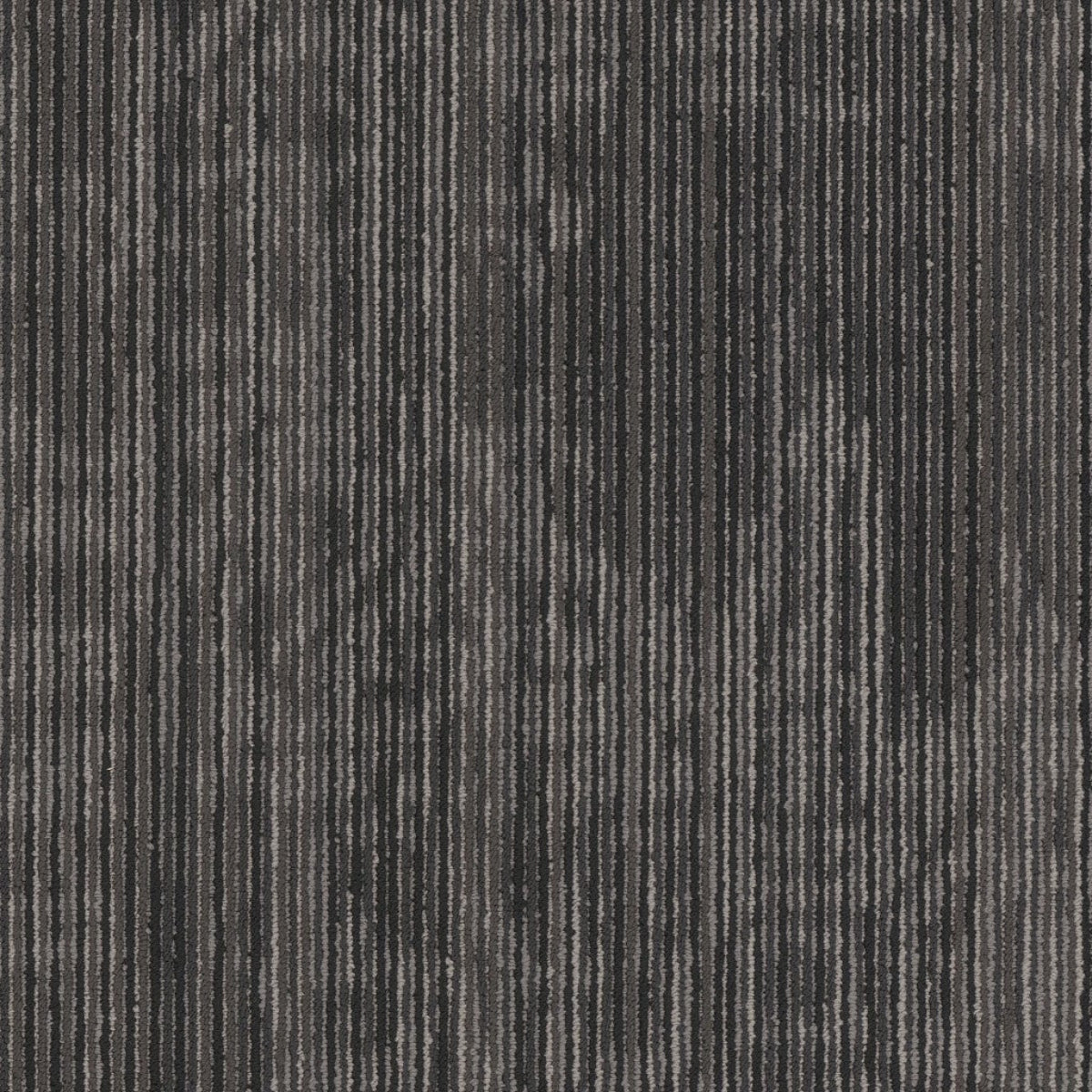 Philadelphia Commercial Encrypt 54927-00510 Futuristic 18" x 36" Carpet Tile