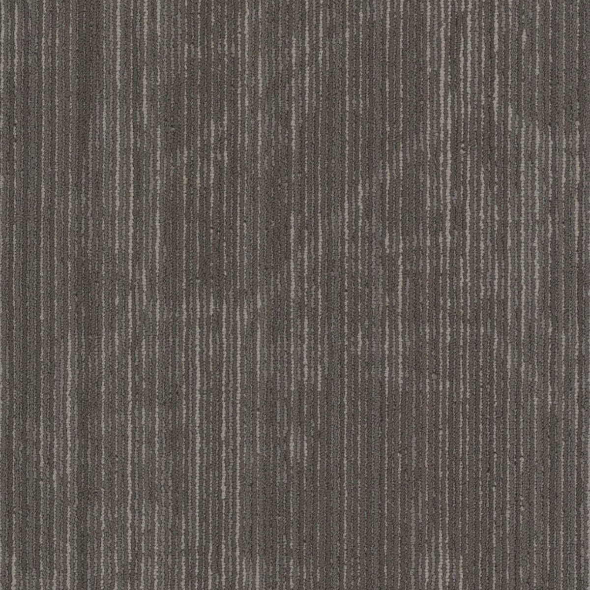 Philadelphia Commercial Encrypt 54927-00708 Identity 18" x 36" Carpet Tile