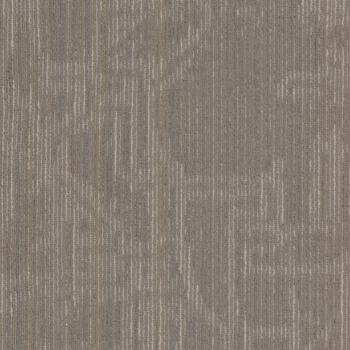 Philadelphia Commercial Encrypt 54927-00500 Symbols 18" x 36" Carpet Tile