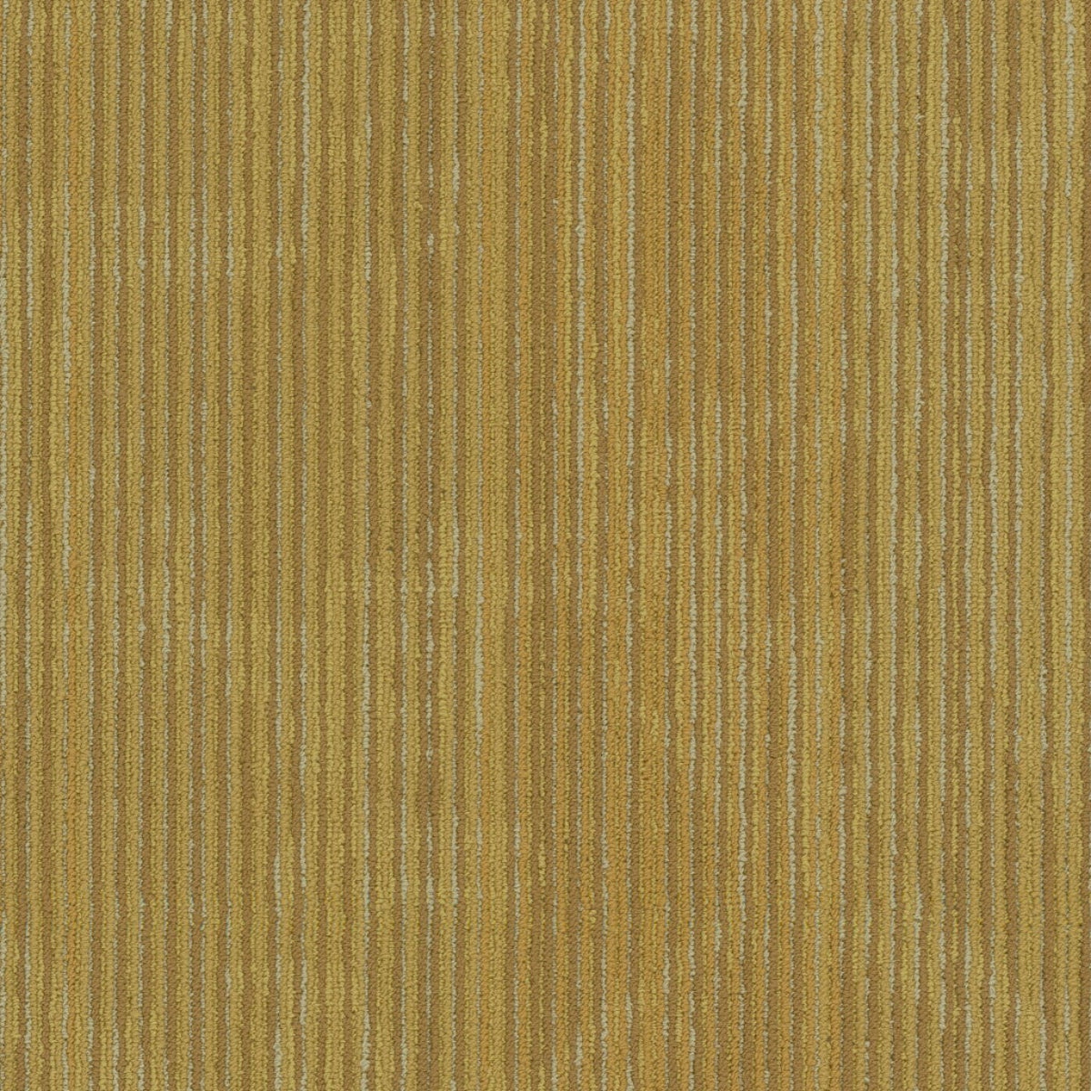 Philadelphia Commercial Encrypt 54927-00200 Vector 18" x 36"" Carpet Tile