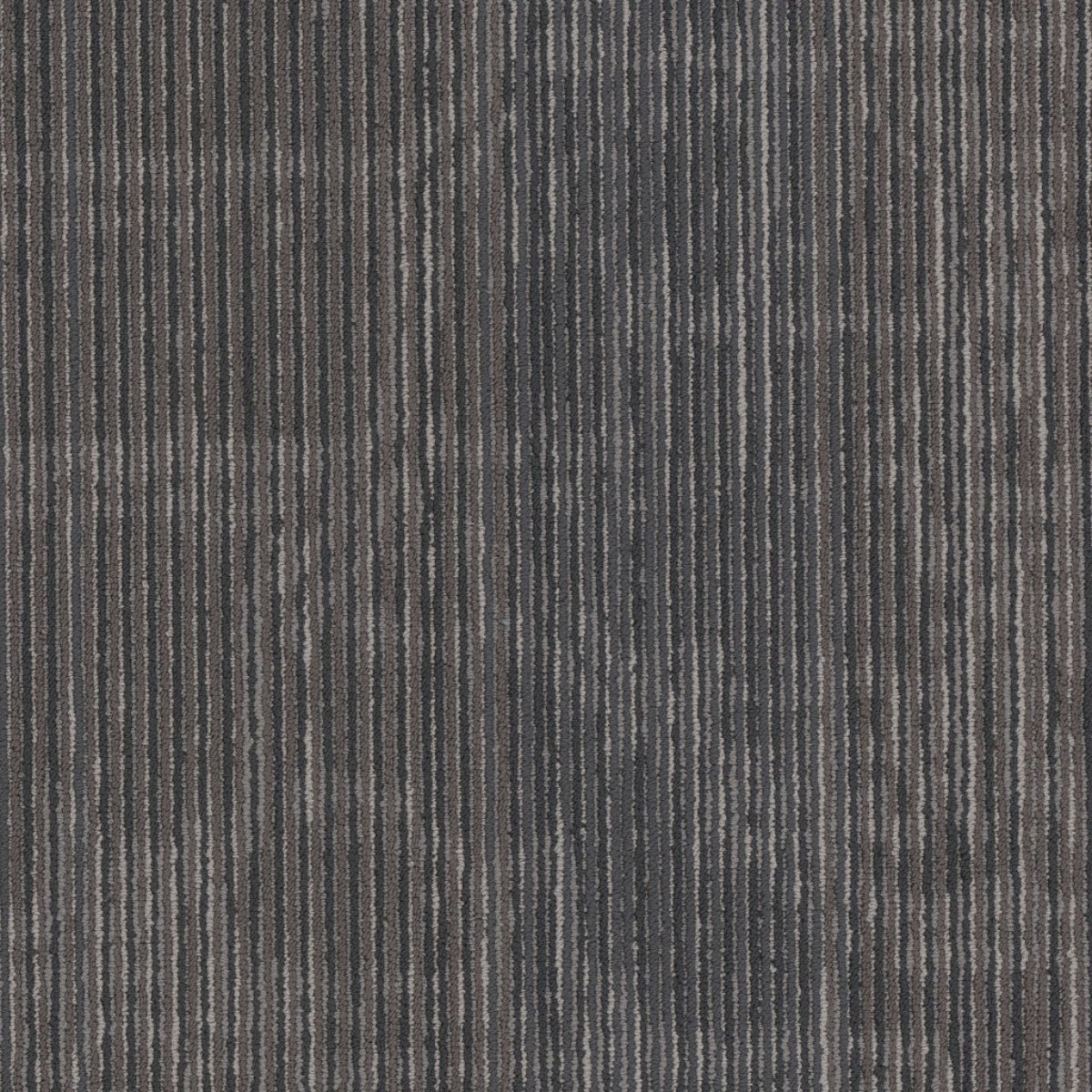 Philadelphia Commercial Encrypt 54927-00505 Virtual 18" x 36" Carpet Tile