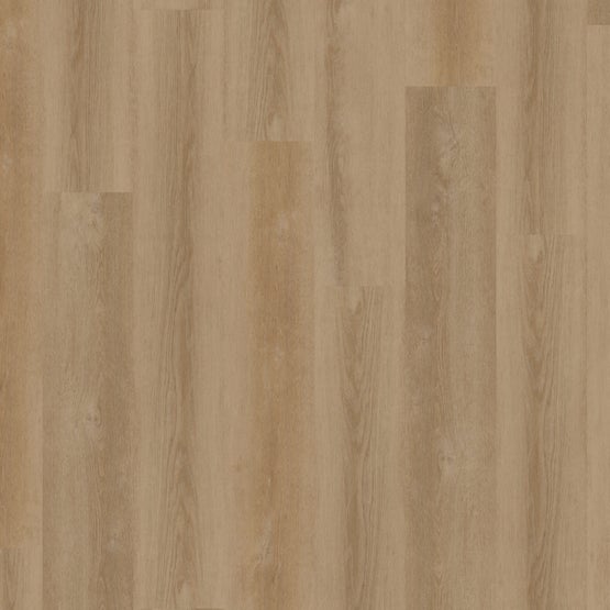 Stanton Natural Beauty 9 Golden State Of Mind Taupe 56053 9" x 60"  (22.96 Sq. Ft/Box)