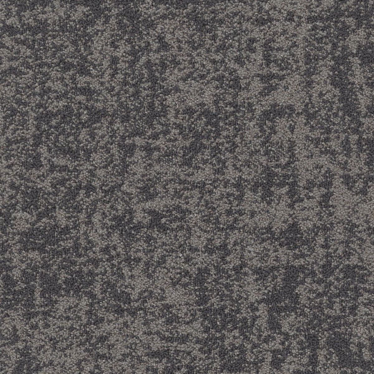 Philadelphia Commercial Intermingle 54981-00504 Mod 18" x 36" Carpet Tile