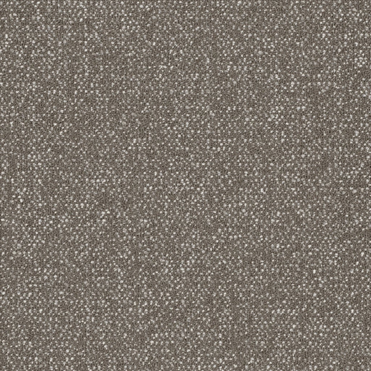 Philadelphia Commercial Knot It 54913-13505 Tangle 18" x 36" Carpet Tile
