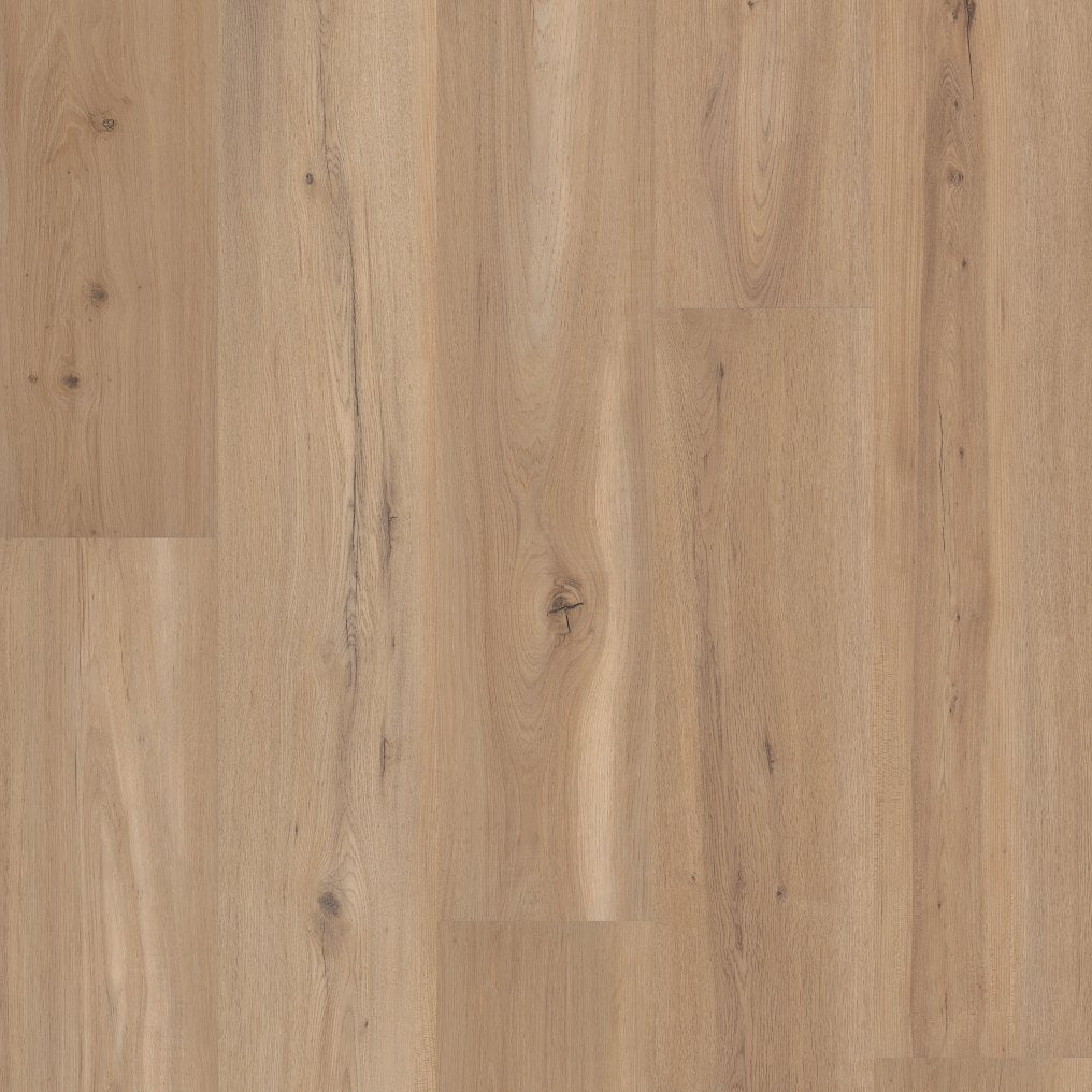 COREtec Blonde Oak WPC Vinyl Plank Flooring VV810-05026 LVP Originals Premium 8.85" X 72.05" (26.47 SF/Box) — room view