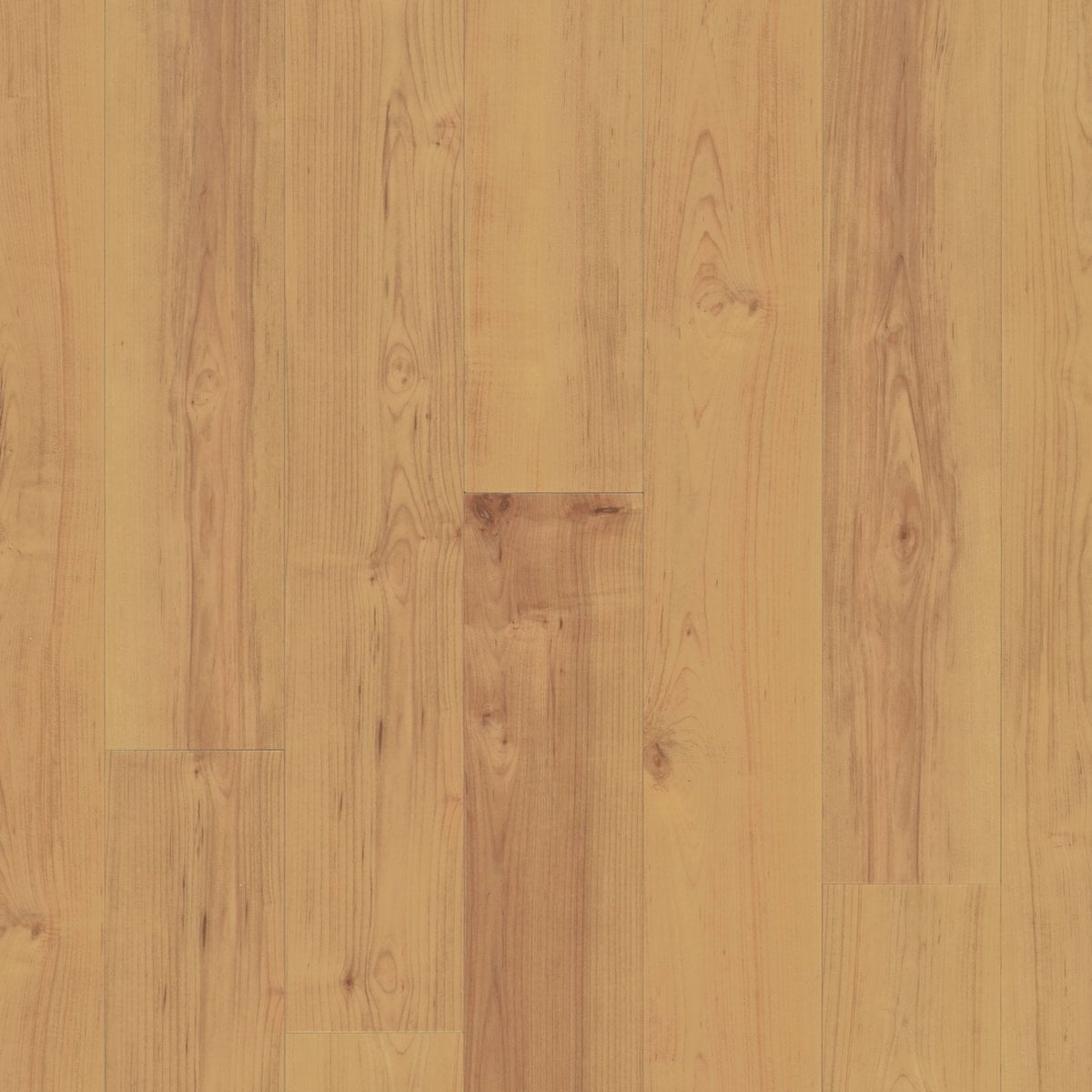 COREtec Norwegian Maple WPC Vinyl Plank Flooring VV023-00505 LVP Originals Classics 5" x 48" (26.47 SF/Box) — room view