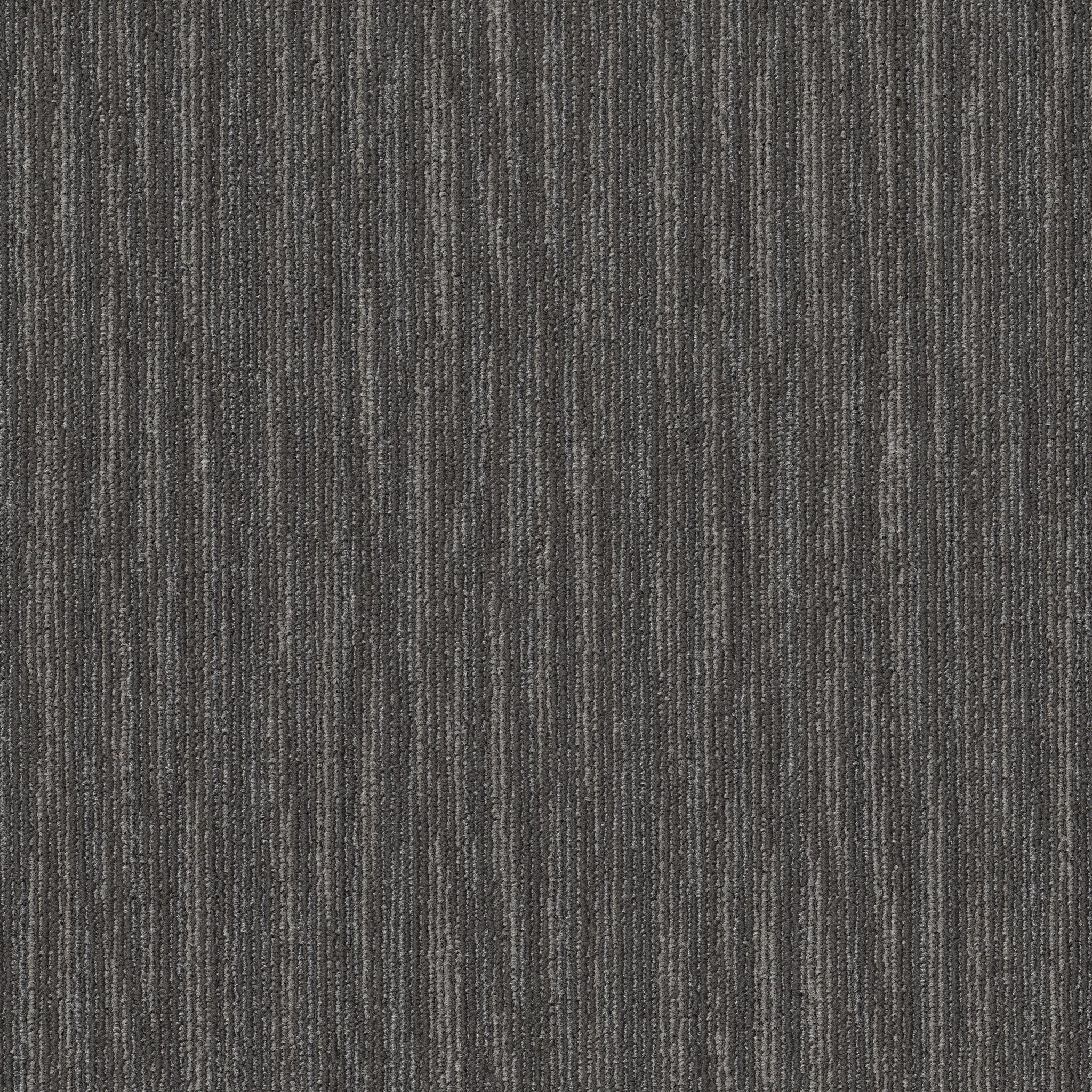 Philadelphia Commercial Mend 54978-00500 Feathered 24" x 24" Carpet Tile