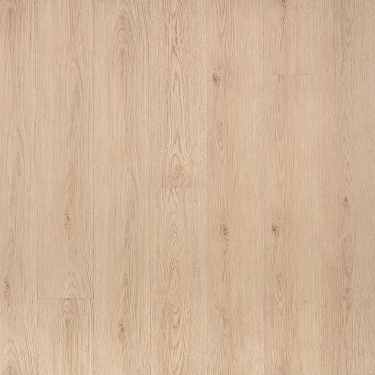 MSI Everlife Cyrus Chester Hills 7.13" x 48.03" Luxury Vinyl Plank (23.77 SF/Box)