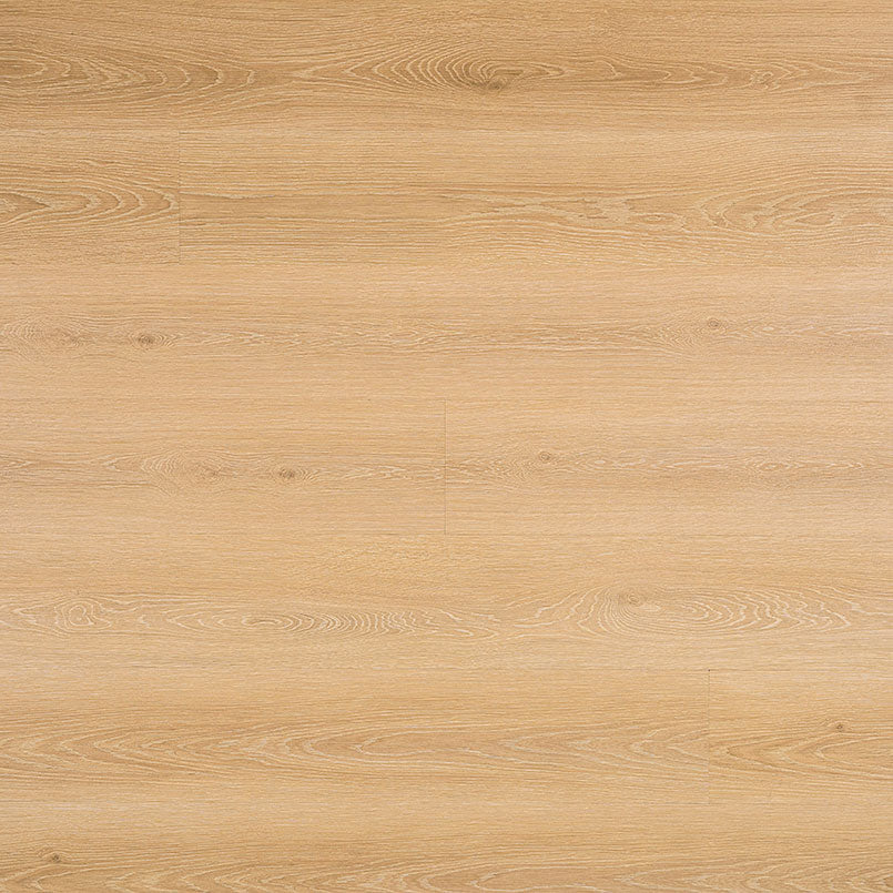 MSI Everlife Rigid Core Prescott Valleyview Grove Luxury Vinyl Plank (Partial Piece - Sample)