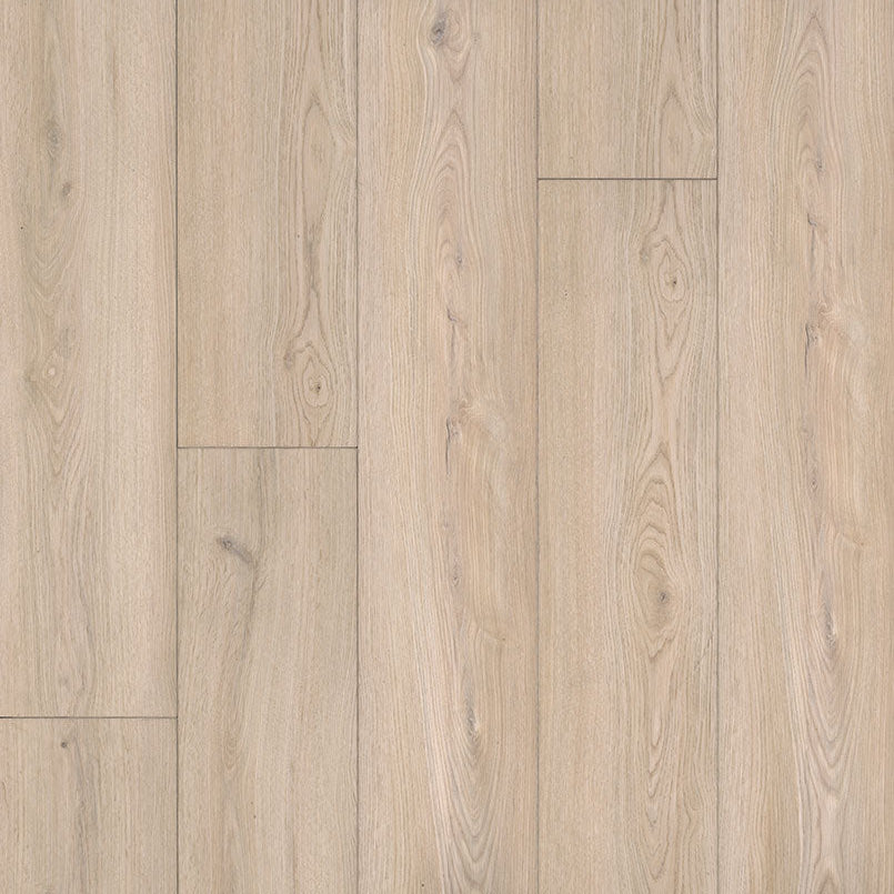 MSI Everlife Rigid Core XL Cyrus Austell Grove 9" x 60" Luxury Vinyl Plank (22.44 SF/Box)